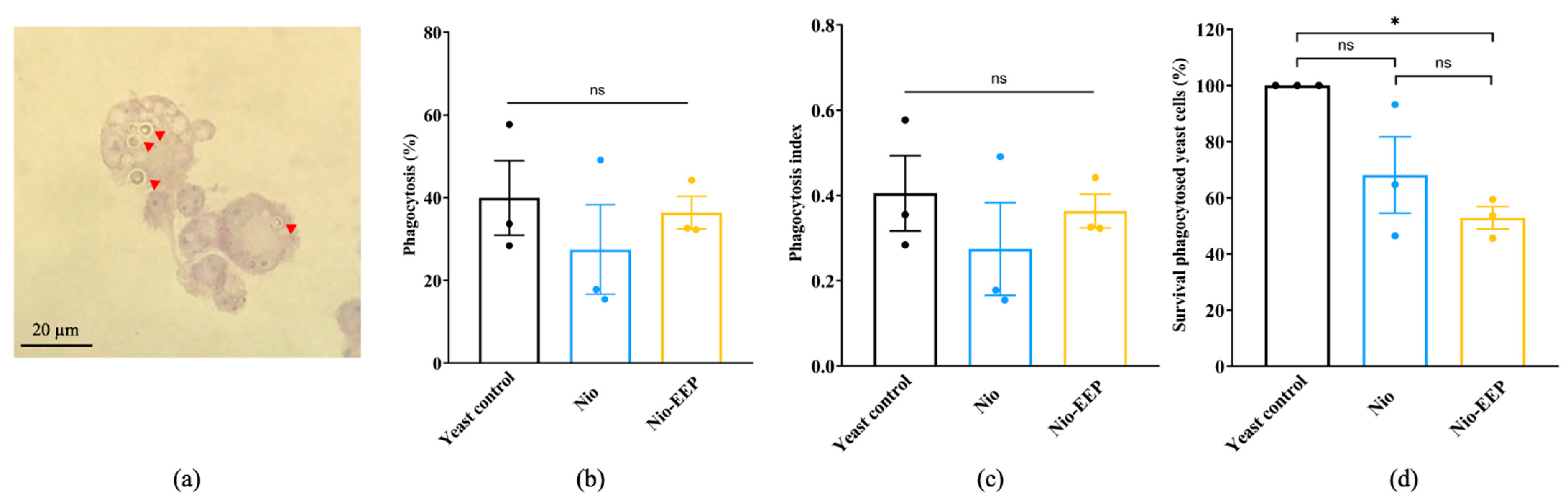 Molecules 28 06224 g007