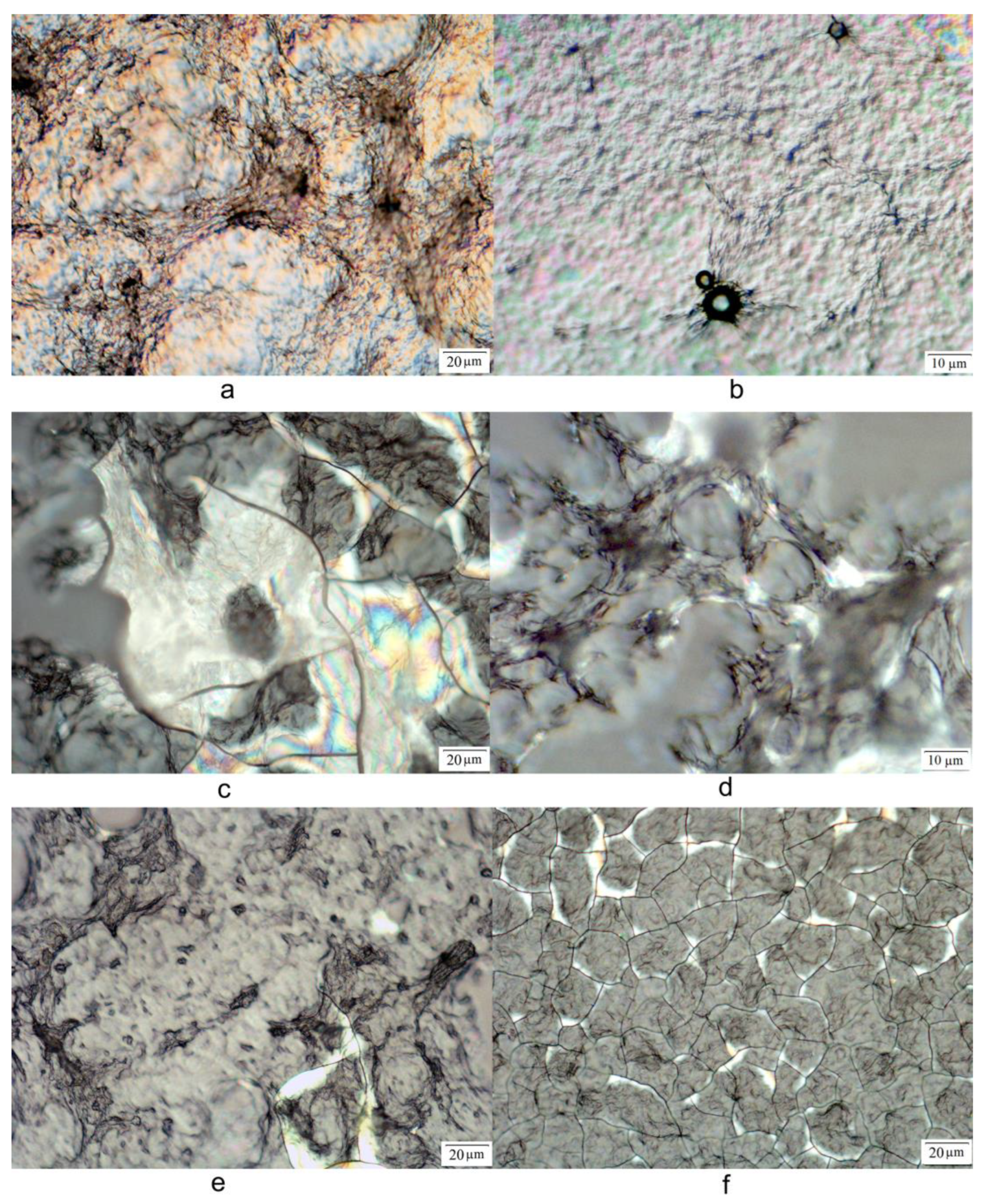 Molecules 28 06228 g003
