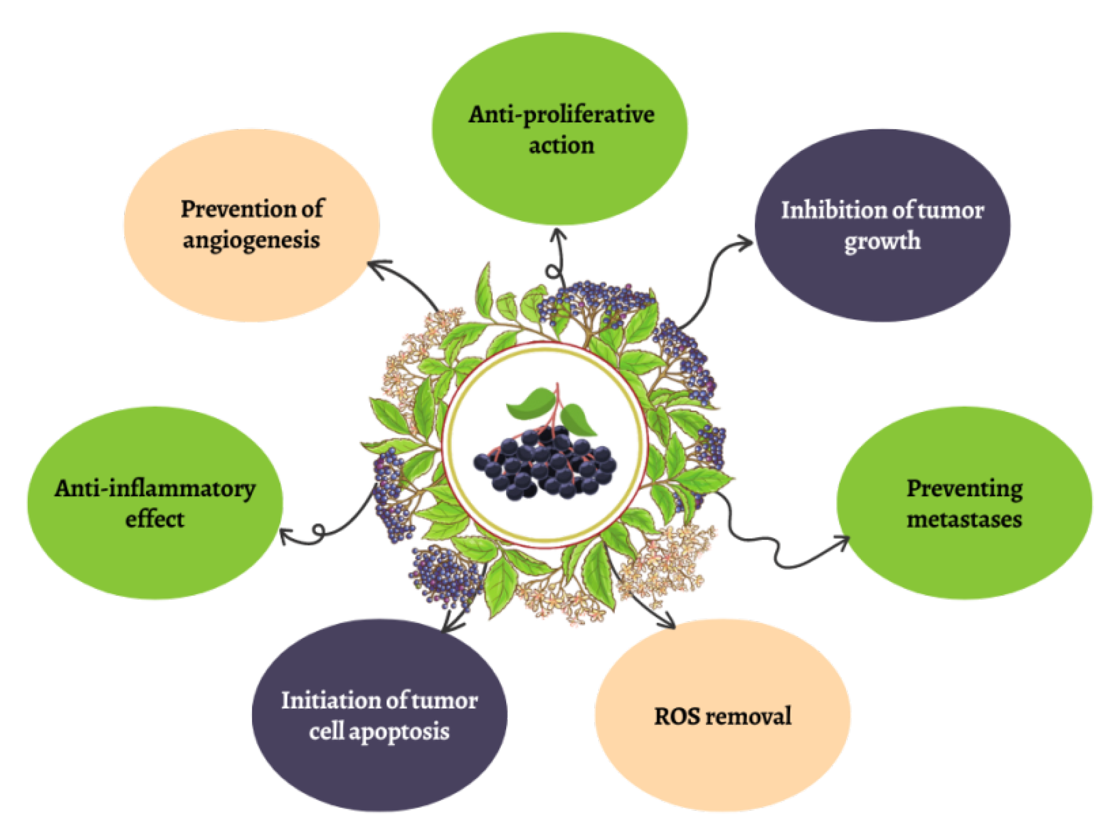 Molecules 28 06235 g003