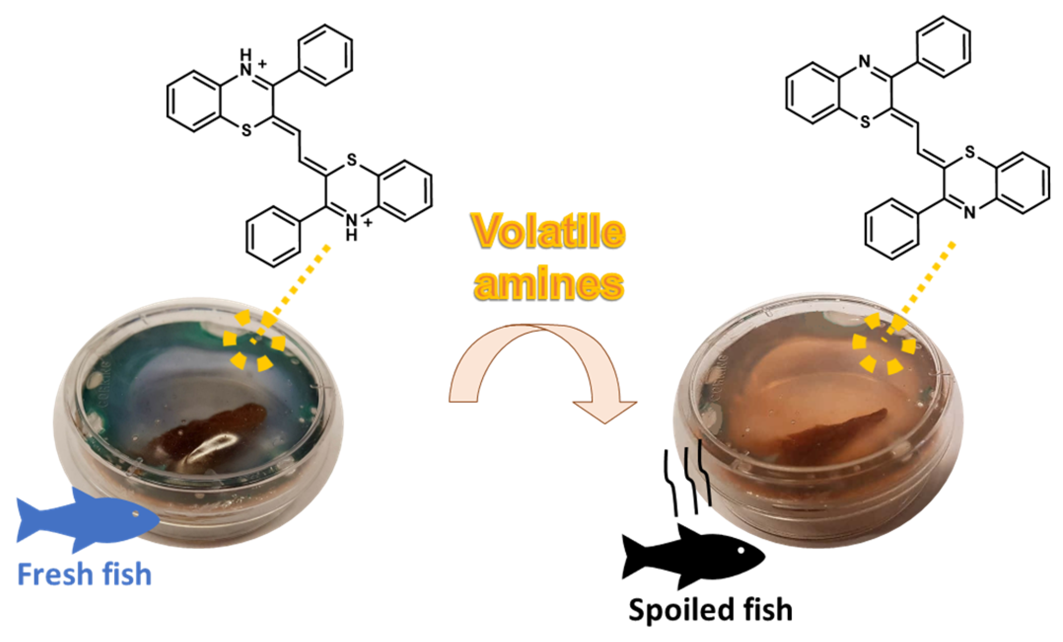 Molecules 28 06237 g007