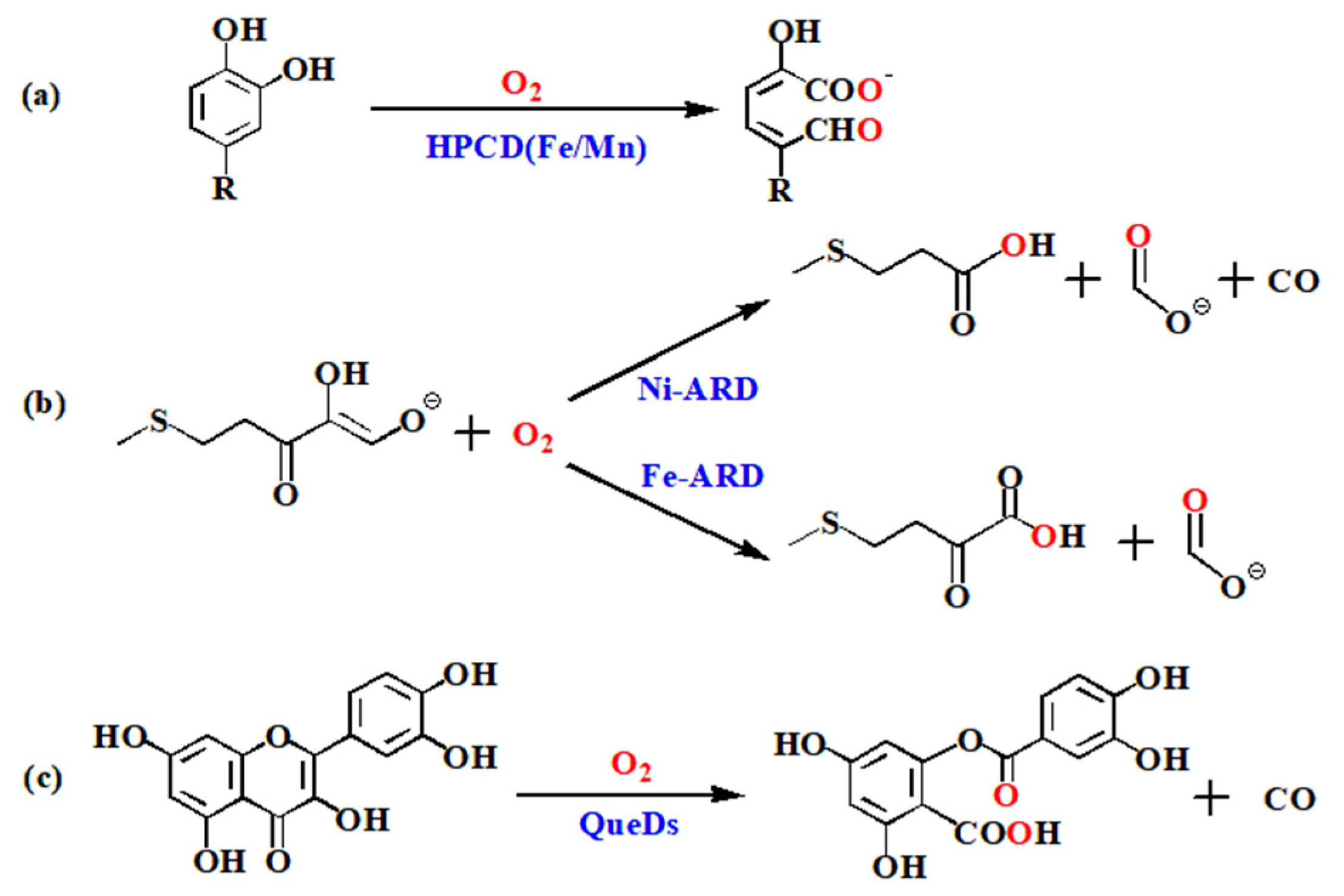 Molecules 28 06238 g001
