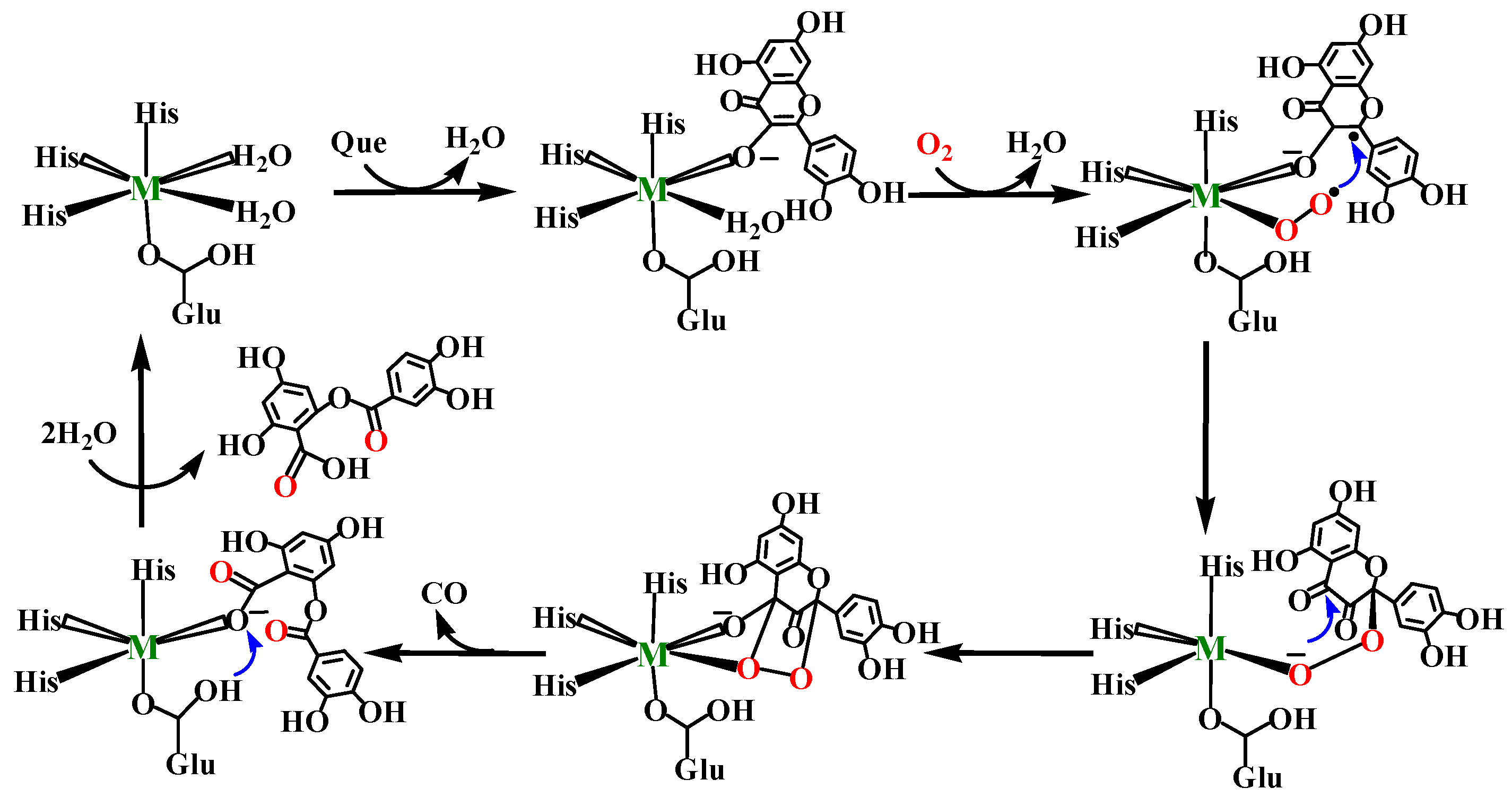 Molecules 28 06238 g002
