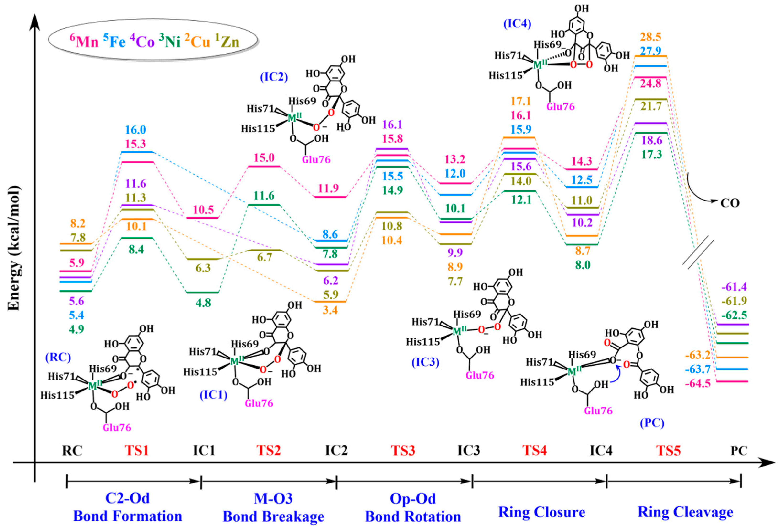 Molecules 28 06238 g005