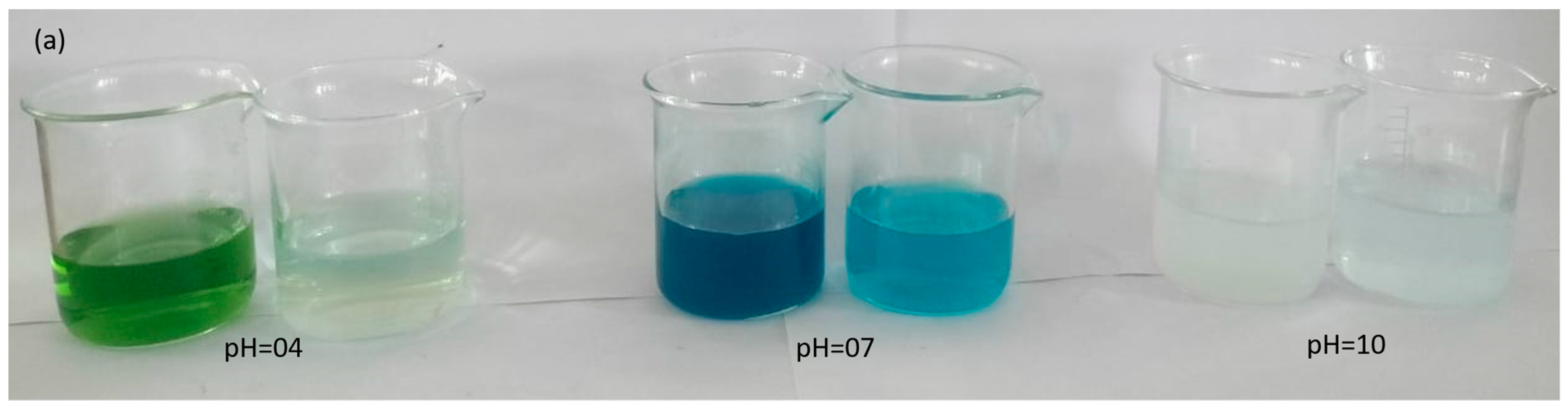 Molecules 28 06241 g006a