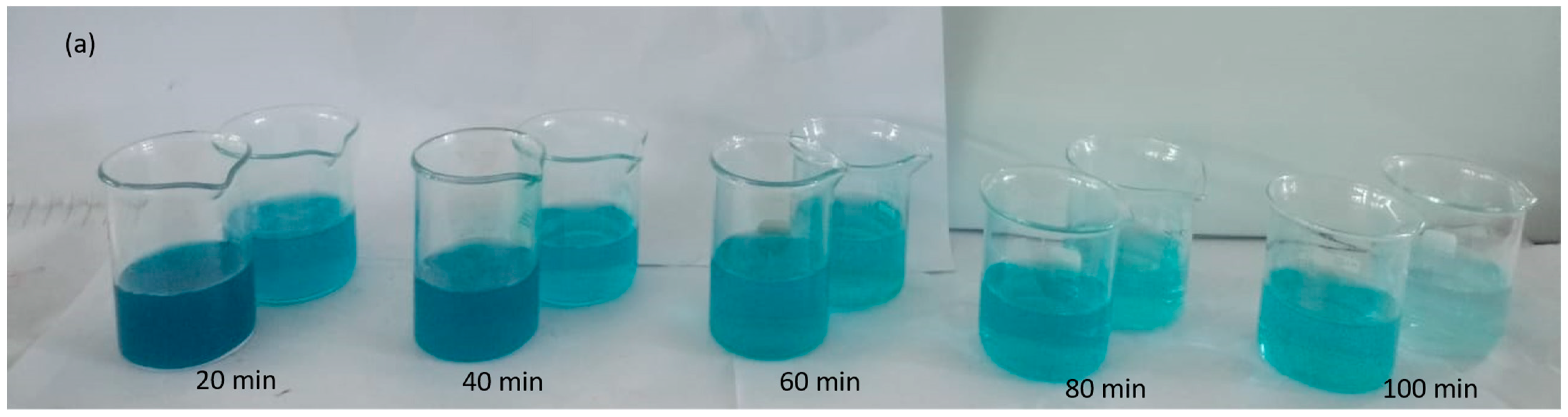 Molecules 28 06241 g008a