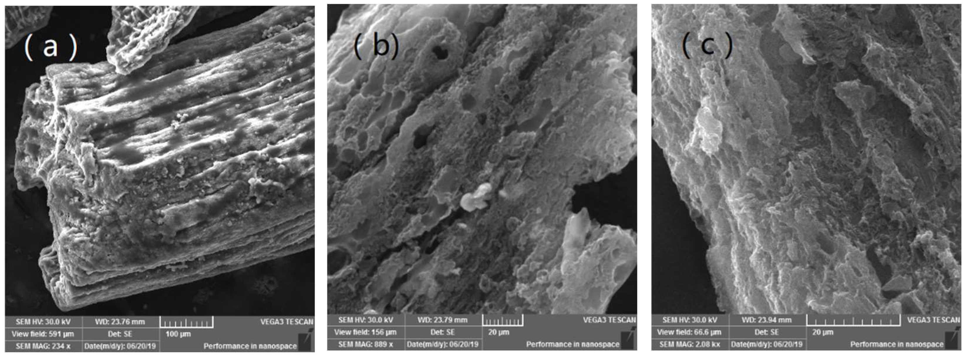 Molecules 28 06242 g002a