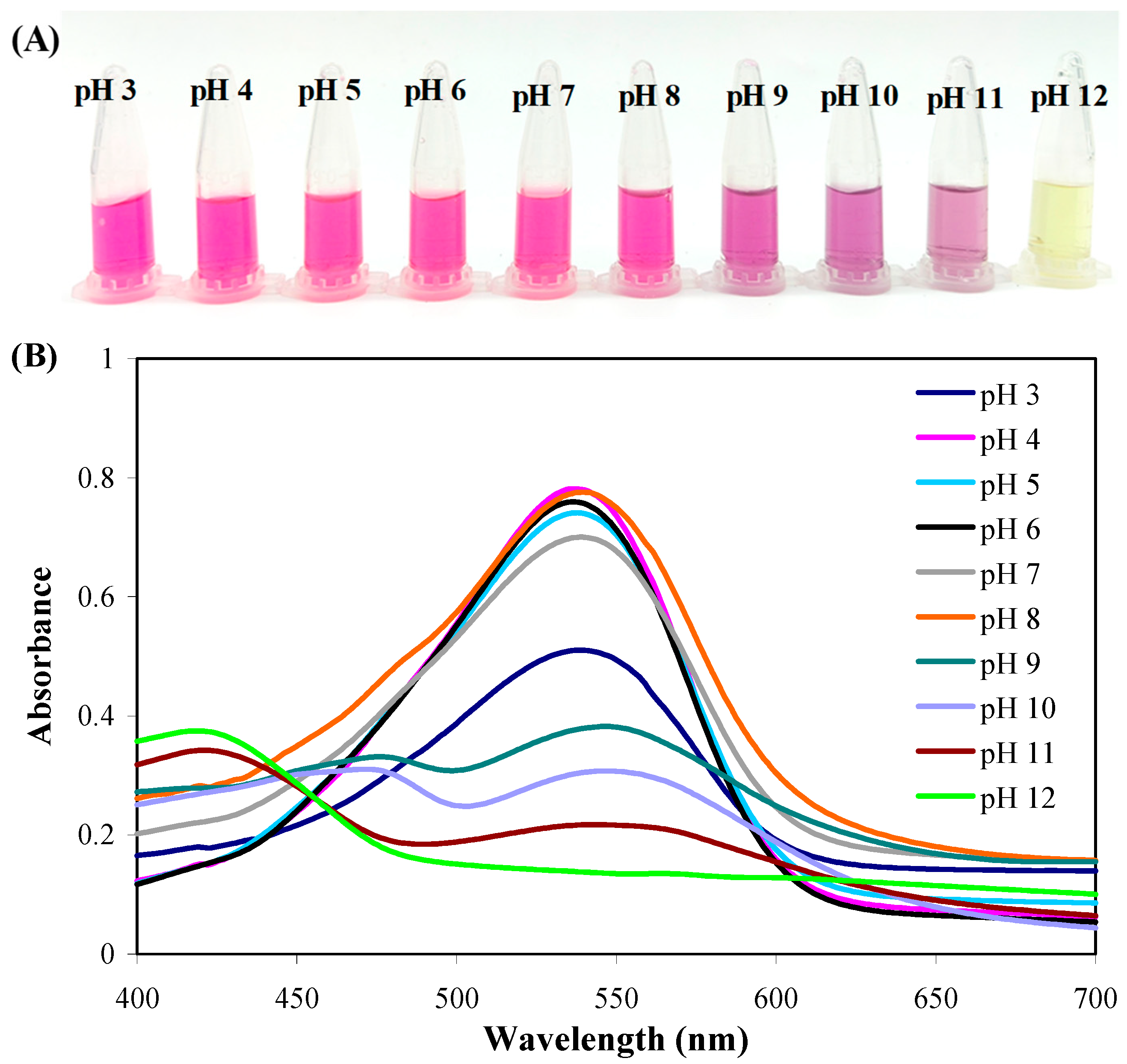 Molecules 28 06243 g001