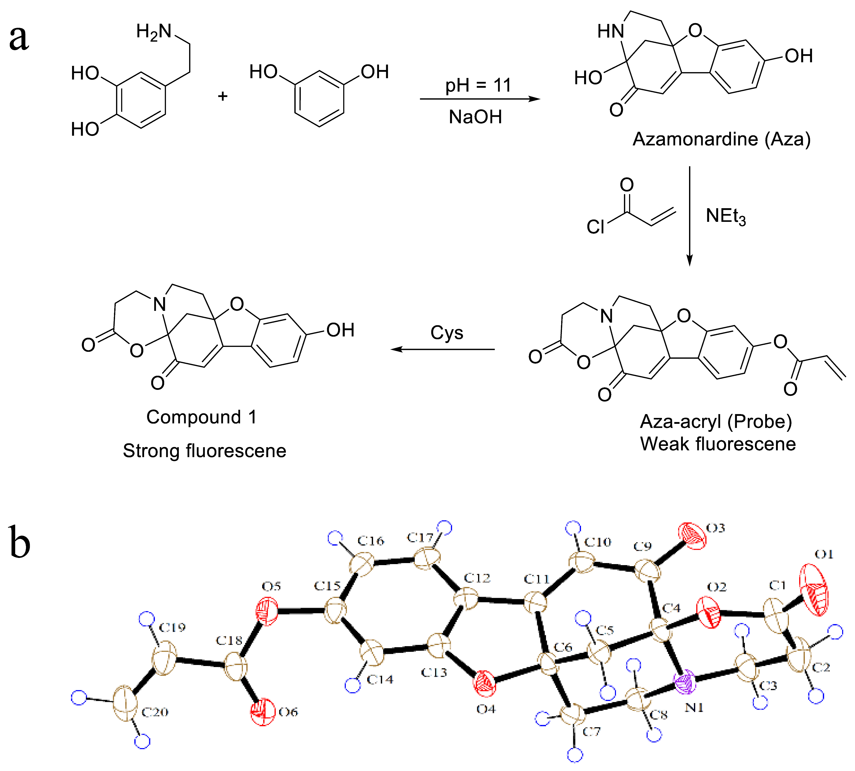 Molecules 28 06246 g001
