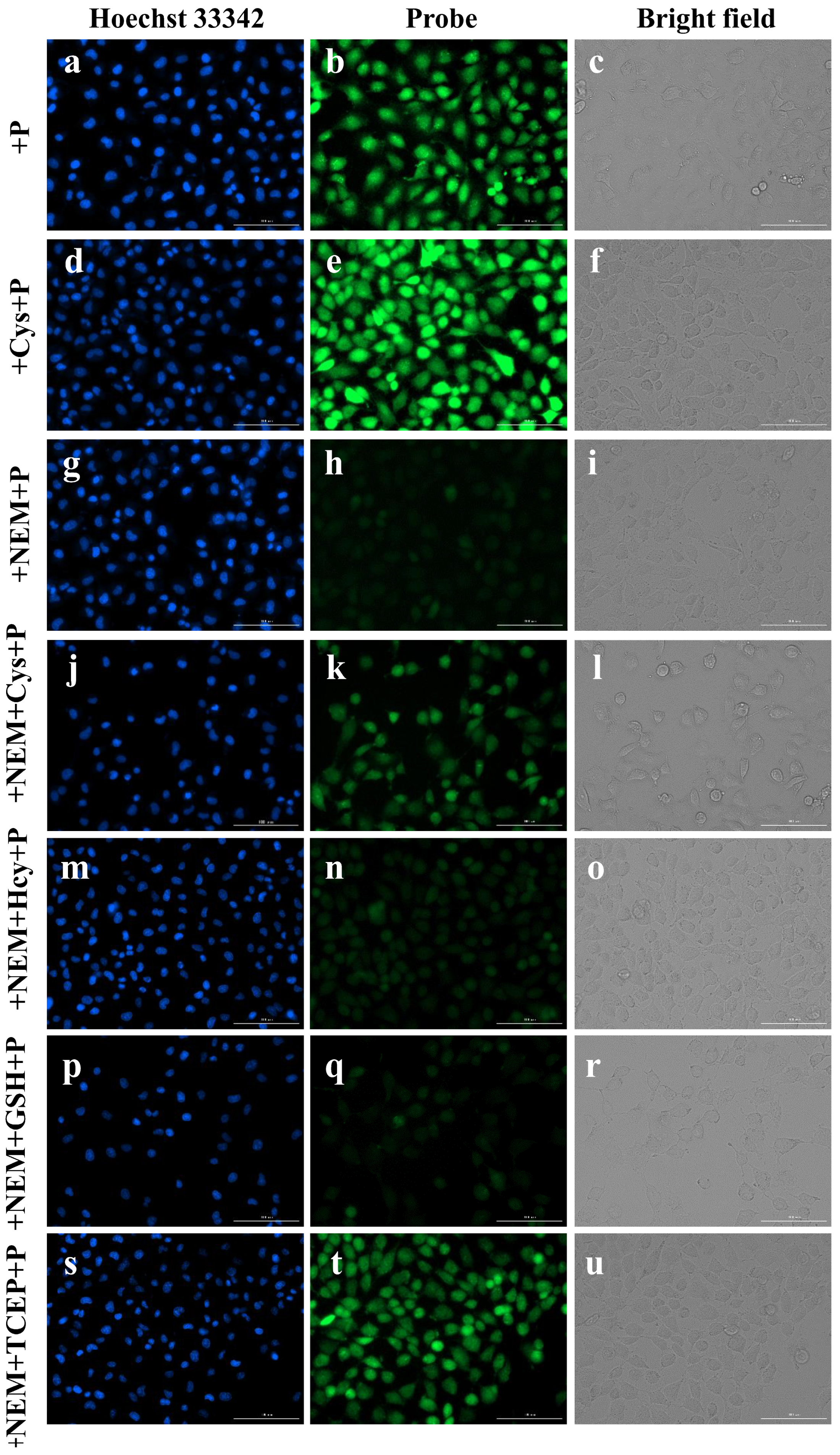 Molecules 28 06246 g008