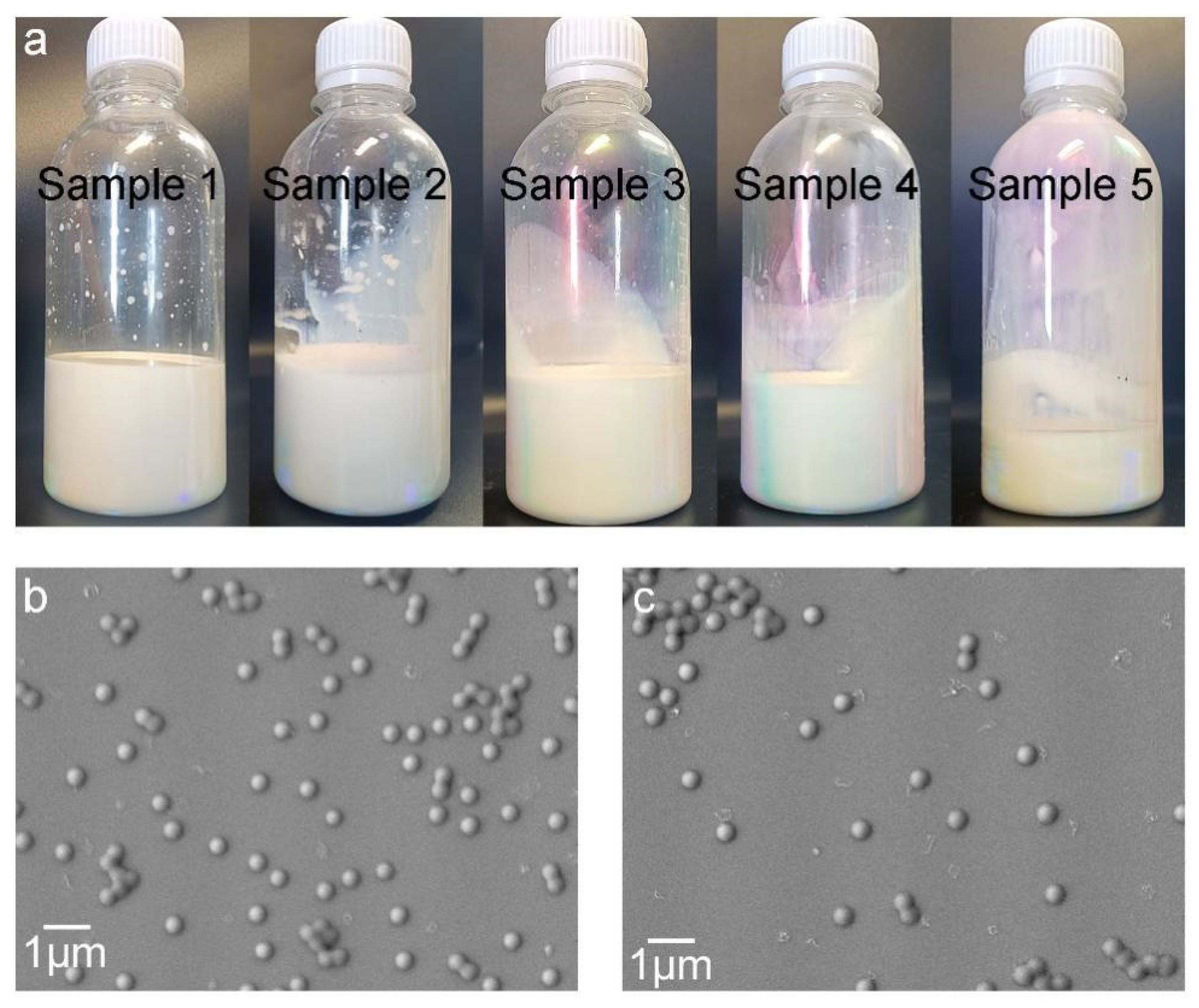Molecules 28 06249 g001