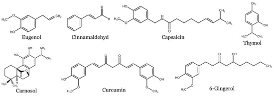 Spice-Derived Phenolic Compounds: Potential for Skin Cancer