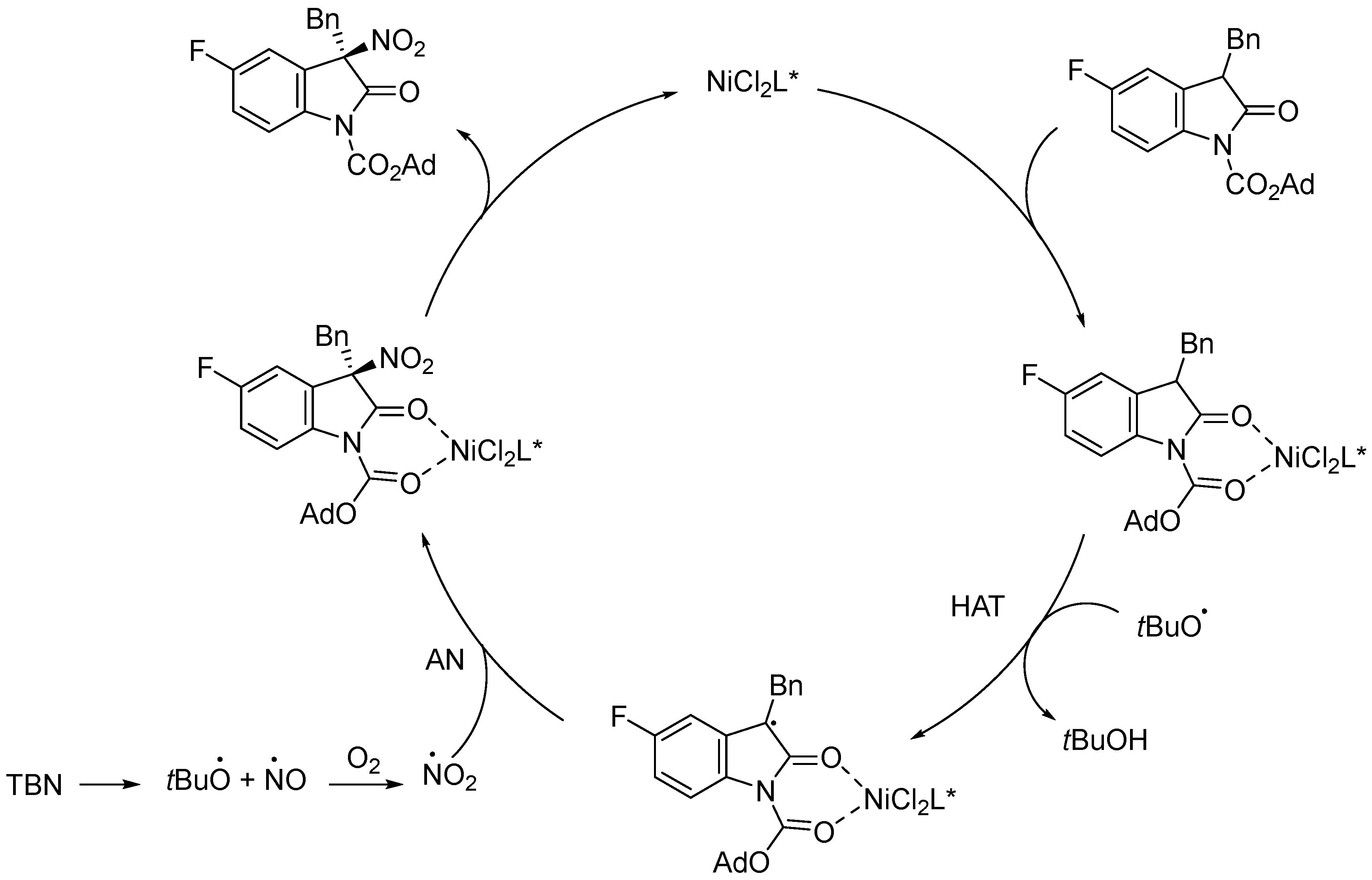 Molecules 28 06252 g008