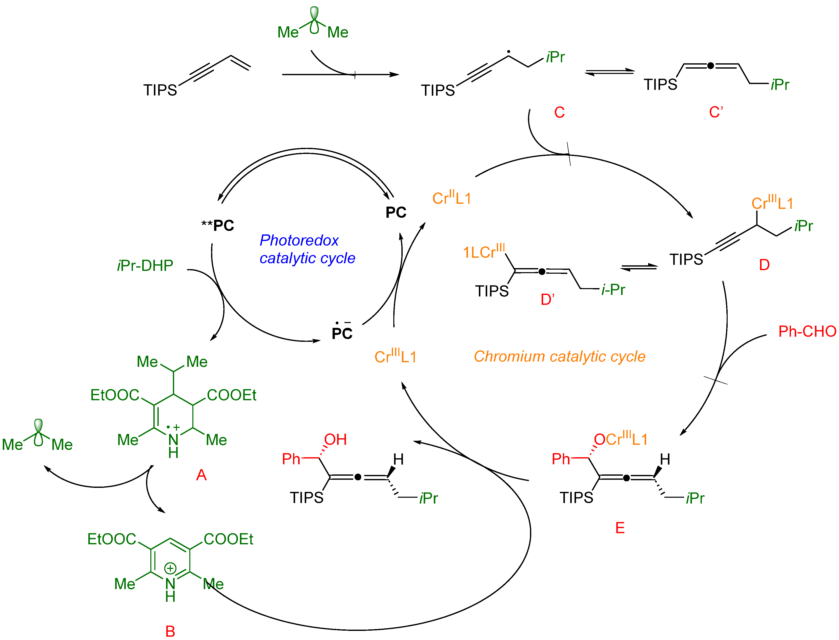 Molecules 28 06252 g014