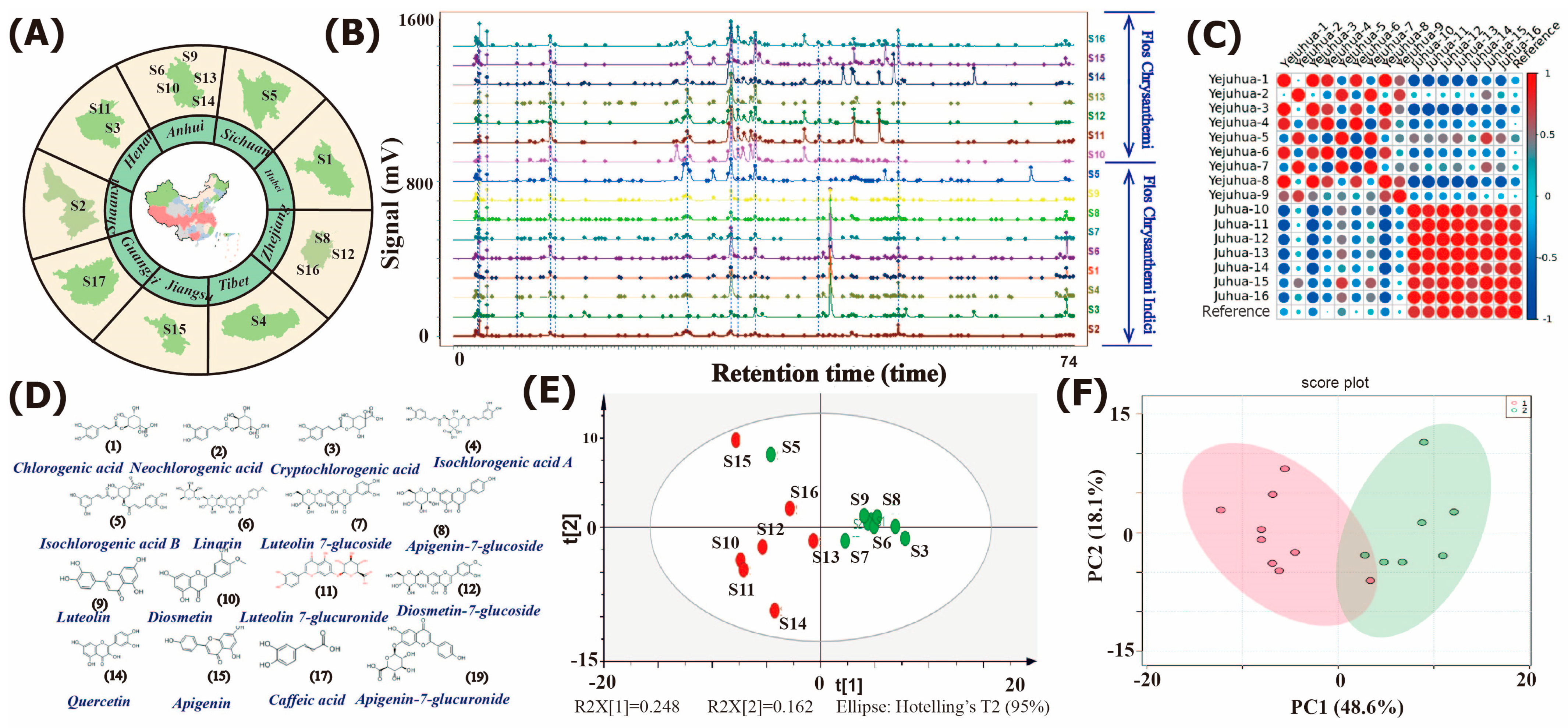 Molecules 28 06254 g001