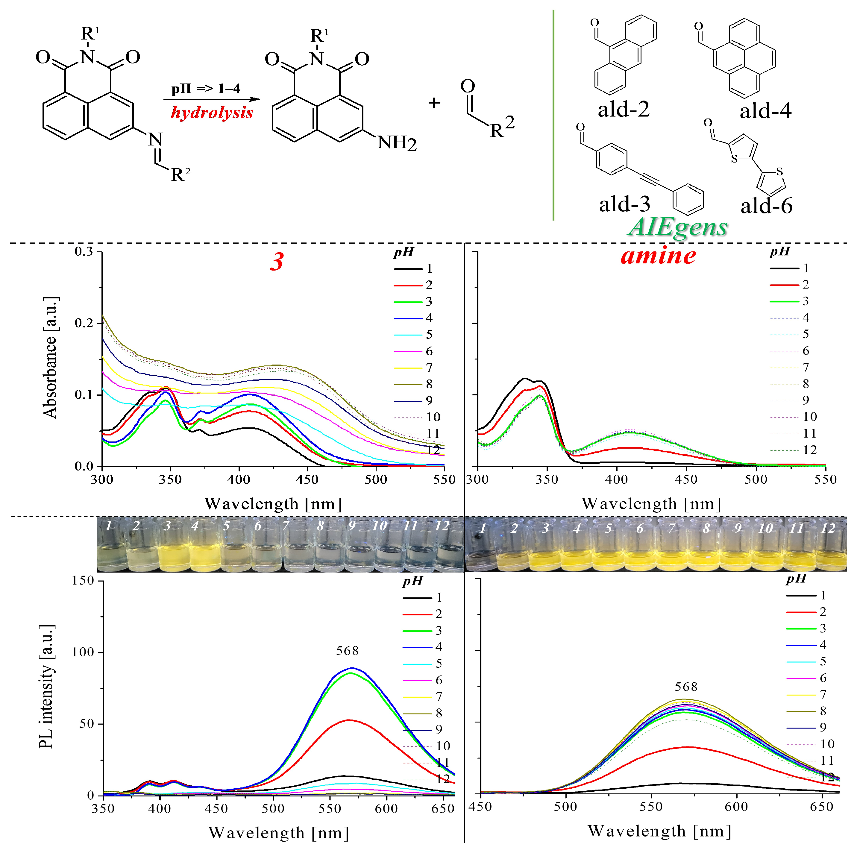 Molecules 28 06255 g006