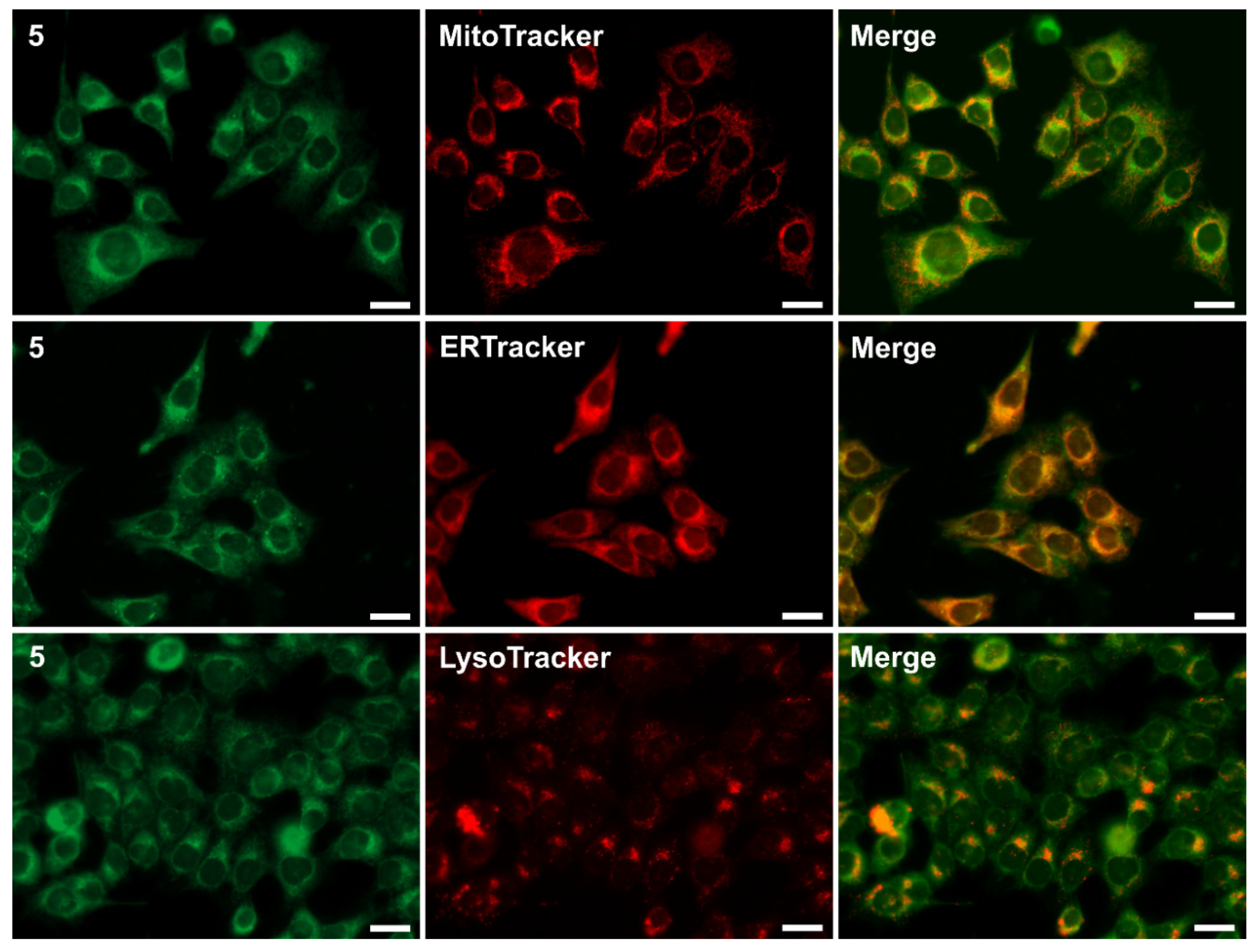 Molecules 28 06255 g008
