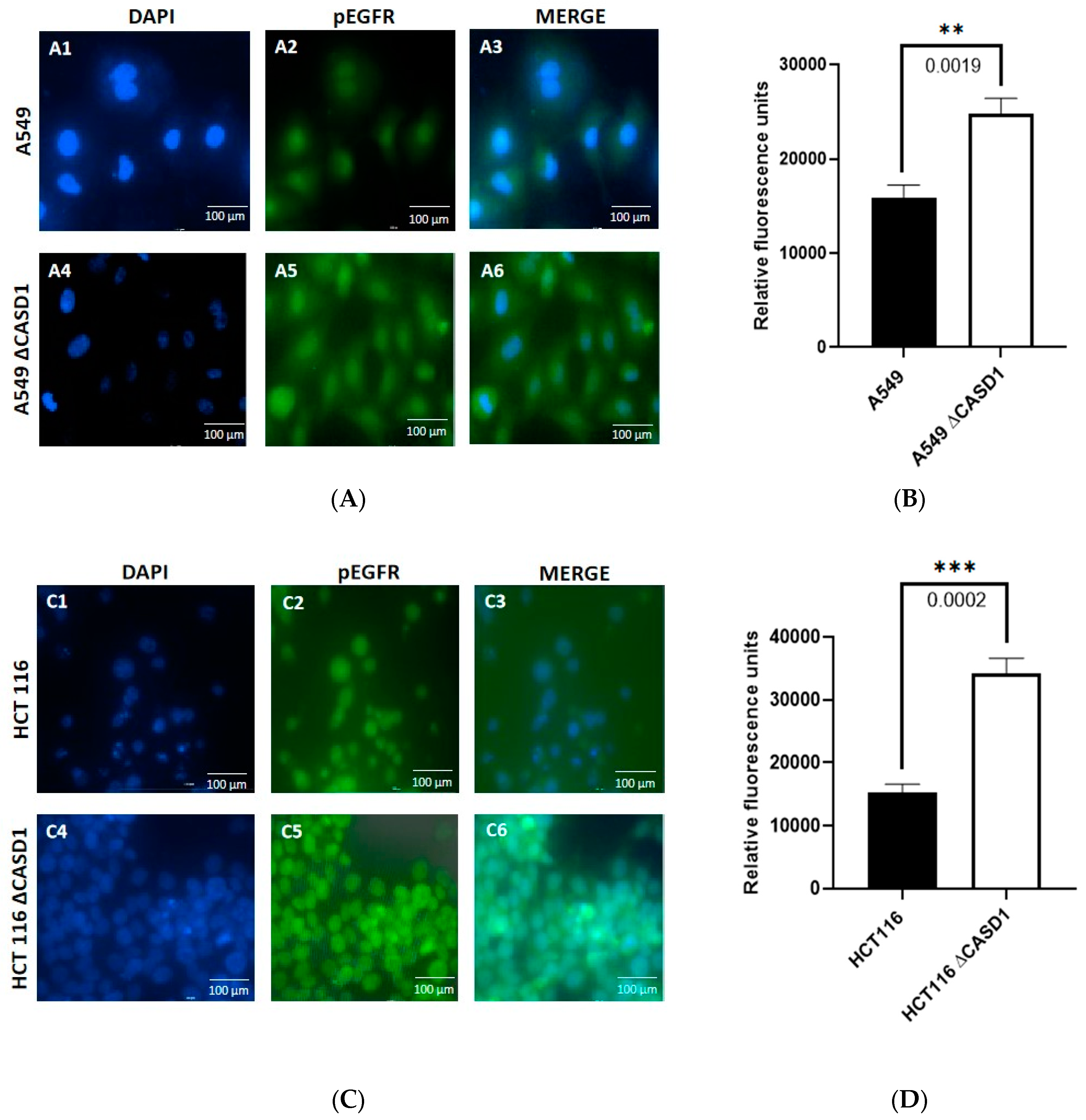 Molecules 28 06257 g006 Molecules 28 06257 g006