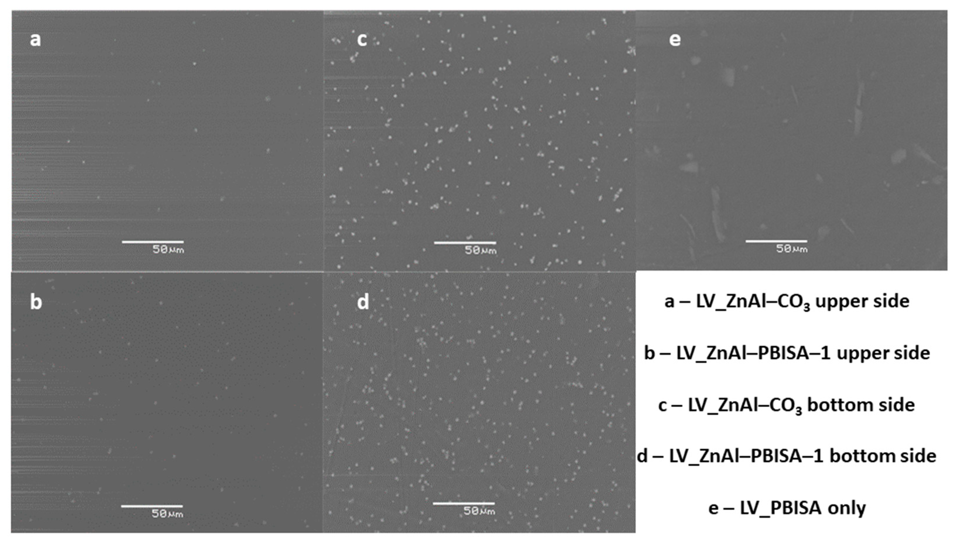 Molecules 28 06262 g007
