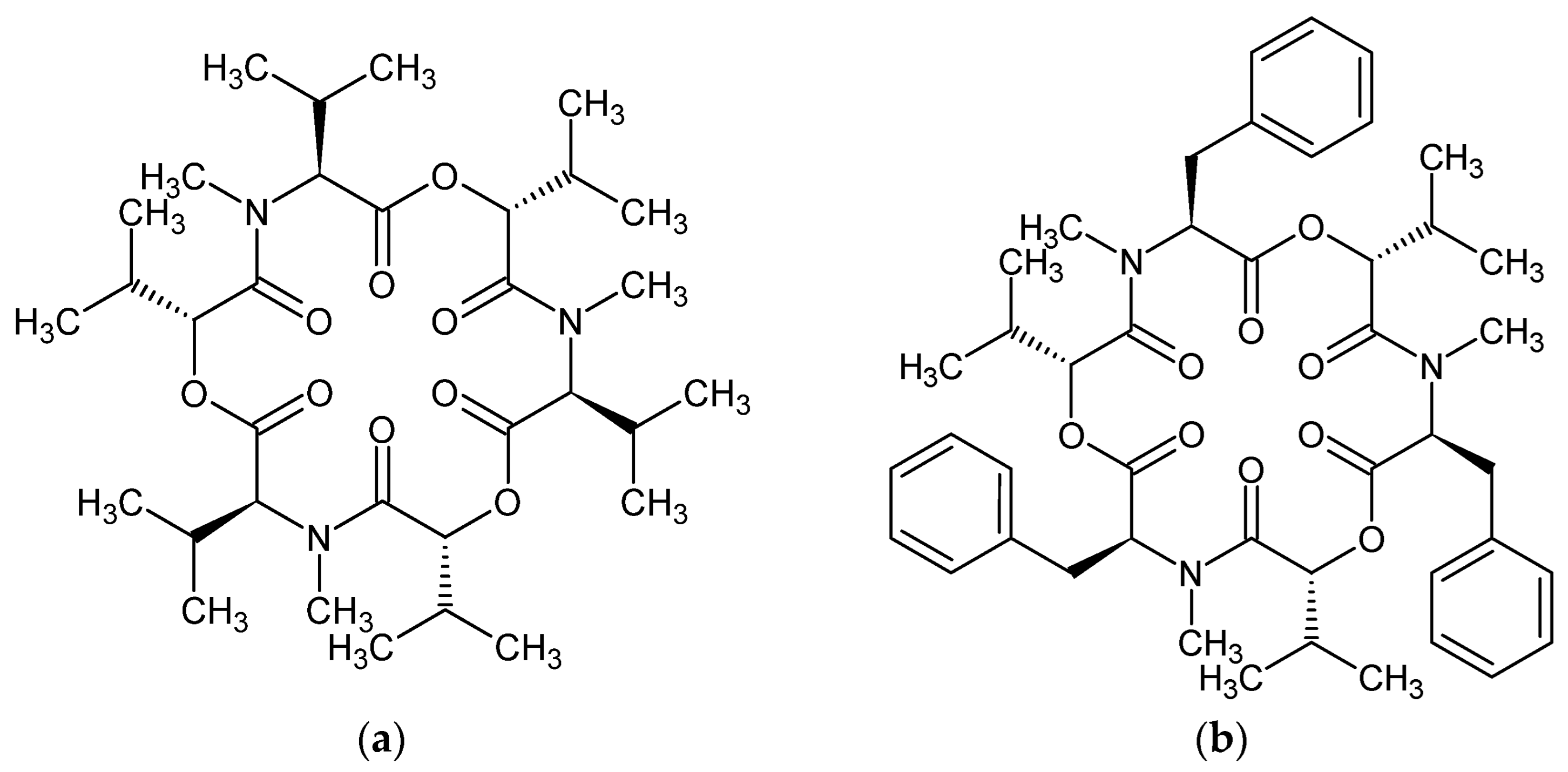 Molecules 28 06264 g001