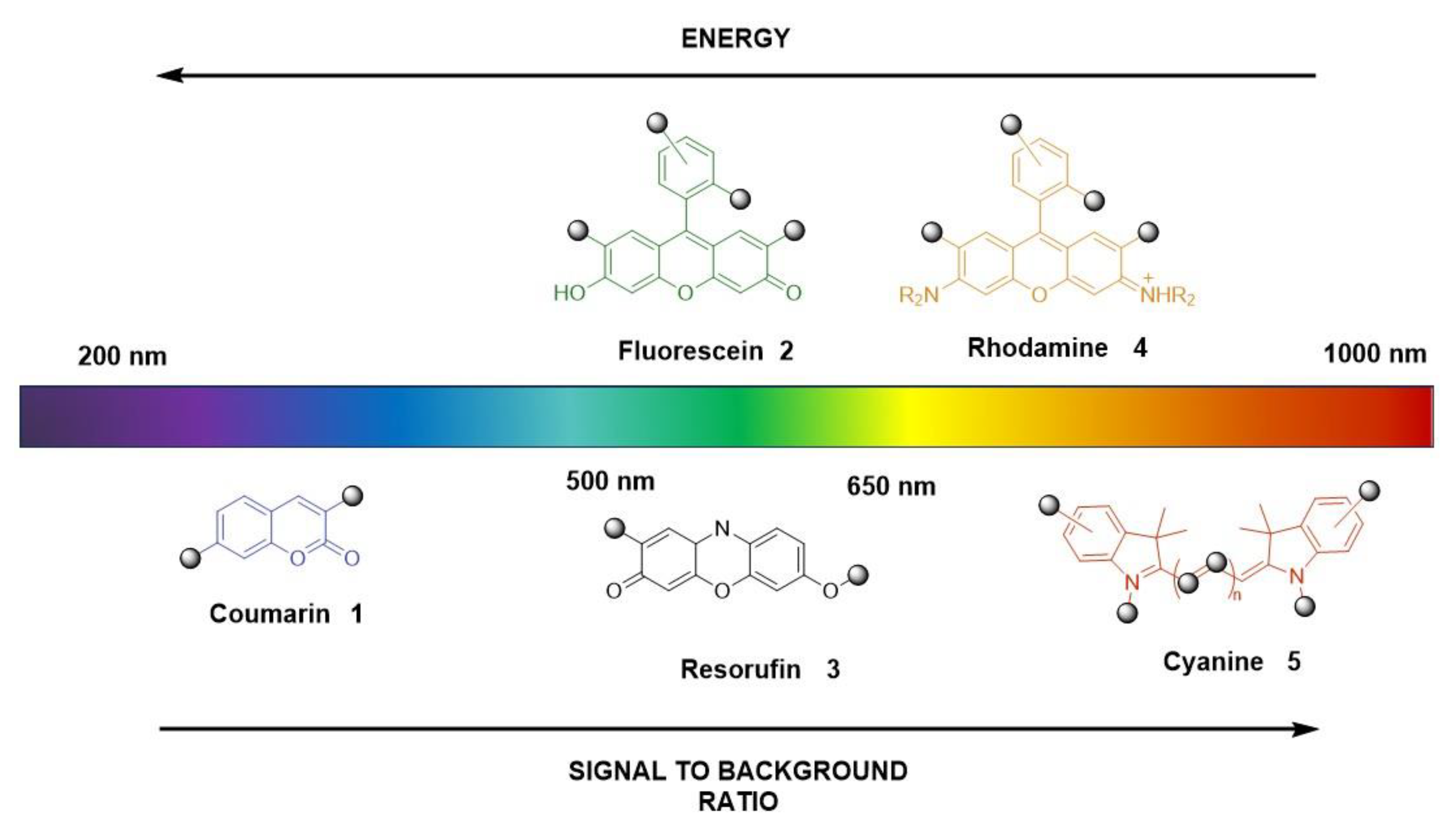 Molecules 28 06265 g002