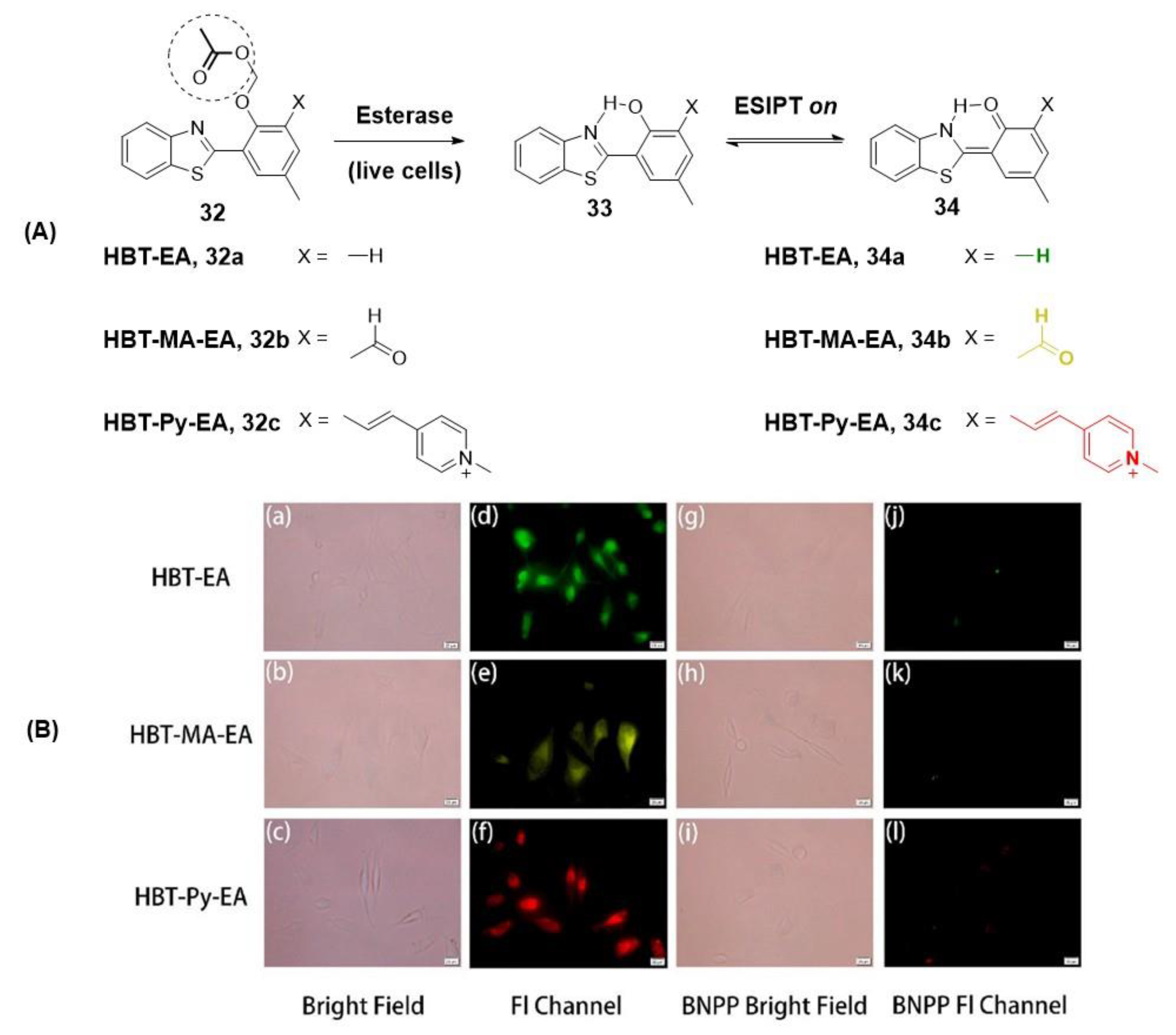 Molecules 28 06265 g005