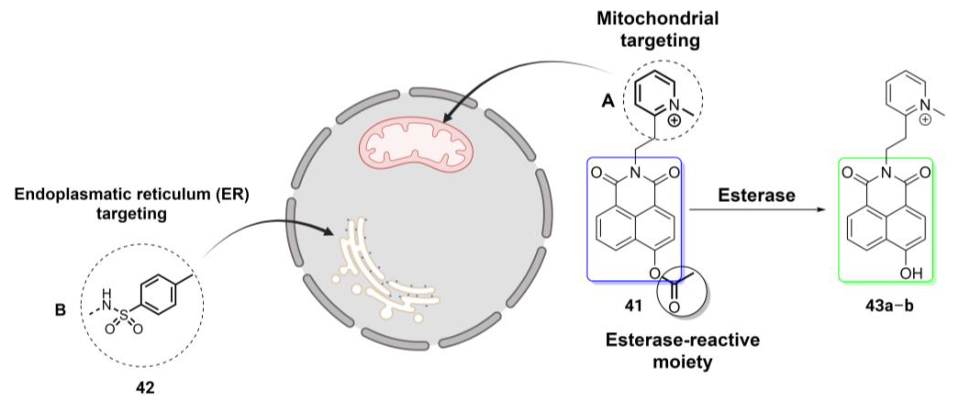 Molecules 28 06265 g007