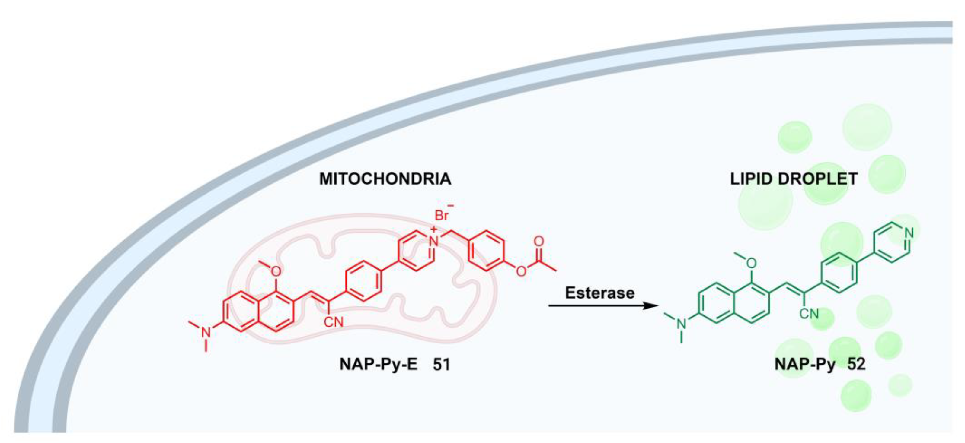 Molecules 28 06265 g008