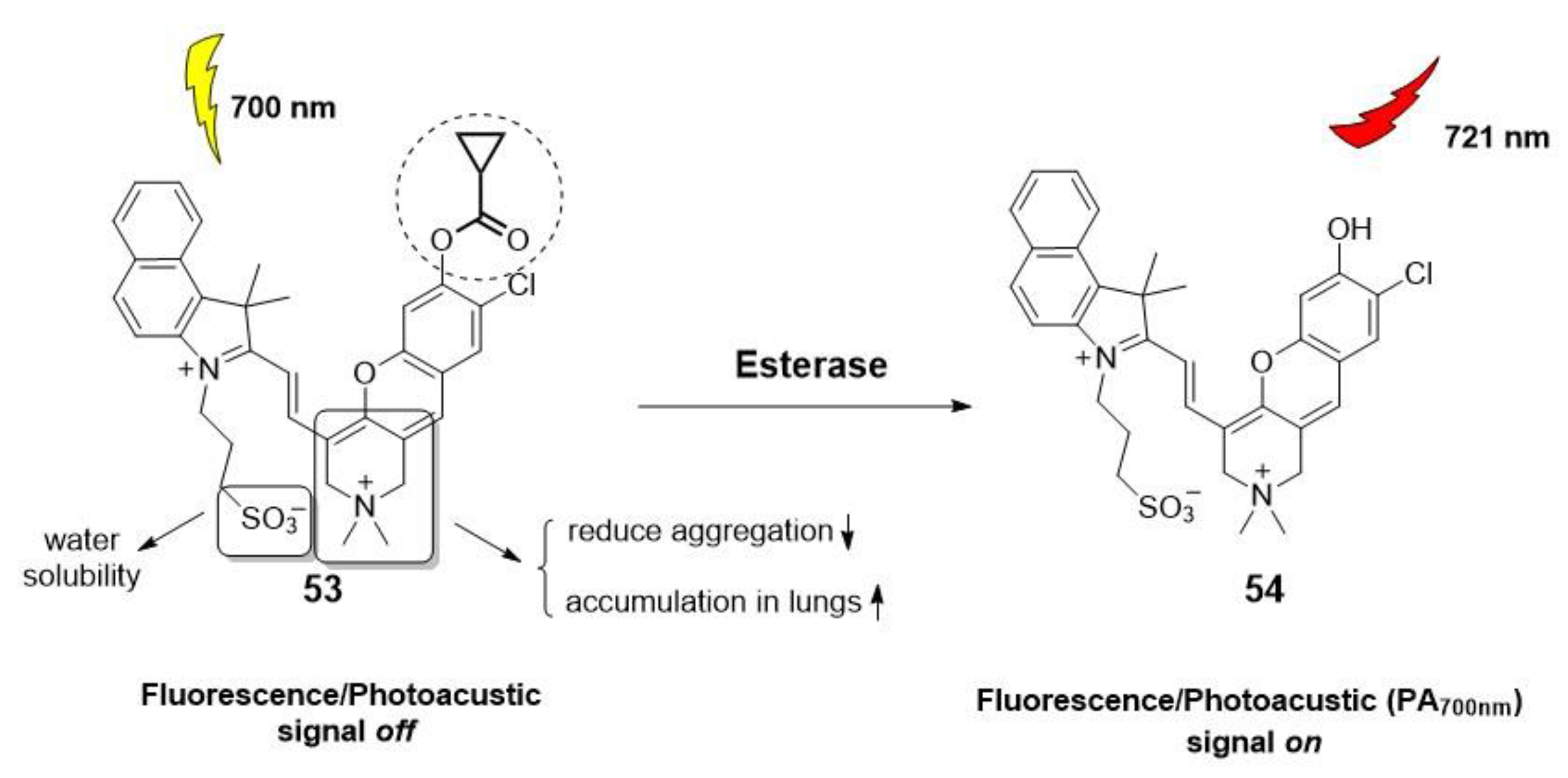 Molecules 28 06265 g009