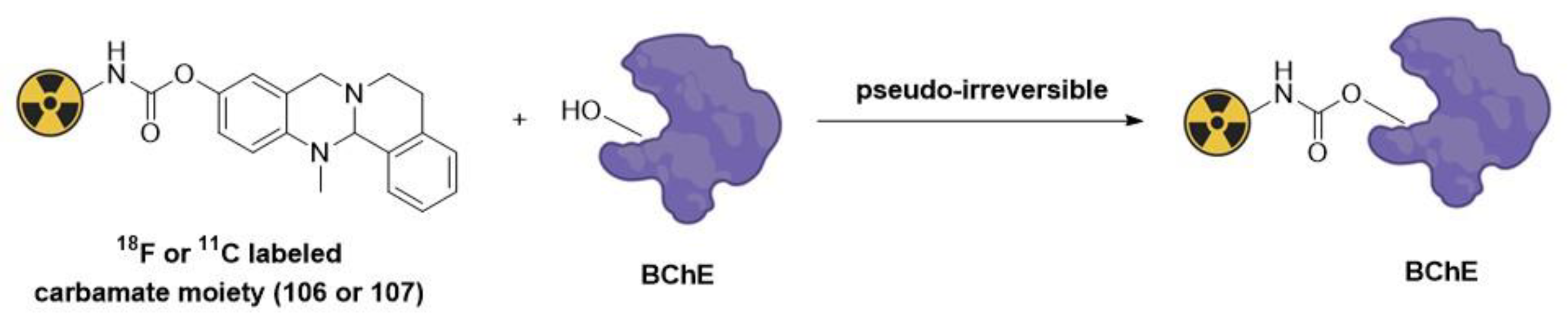 Molecules 28 06265 g019