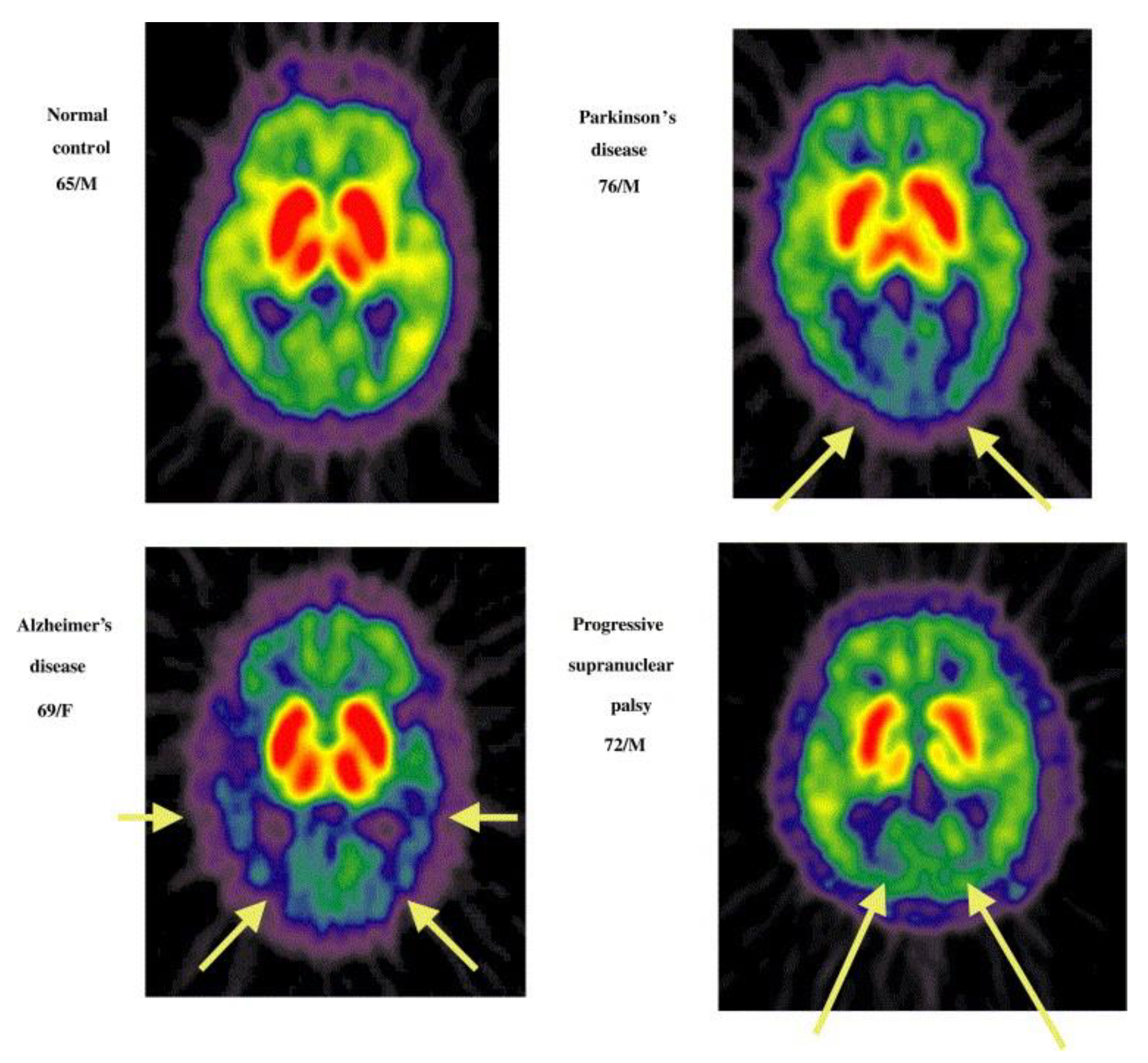 Molecules 28 06265 g021