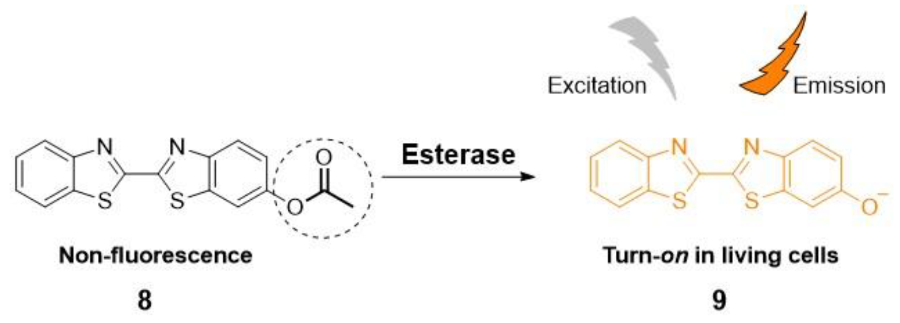 Molecules 28 06265 sch001