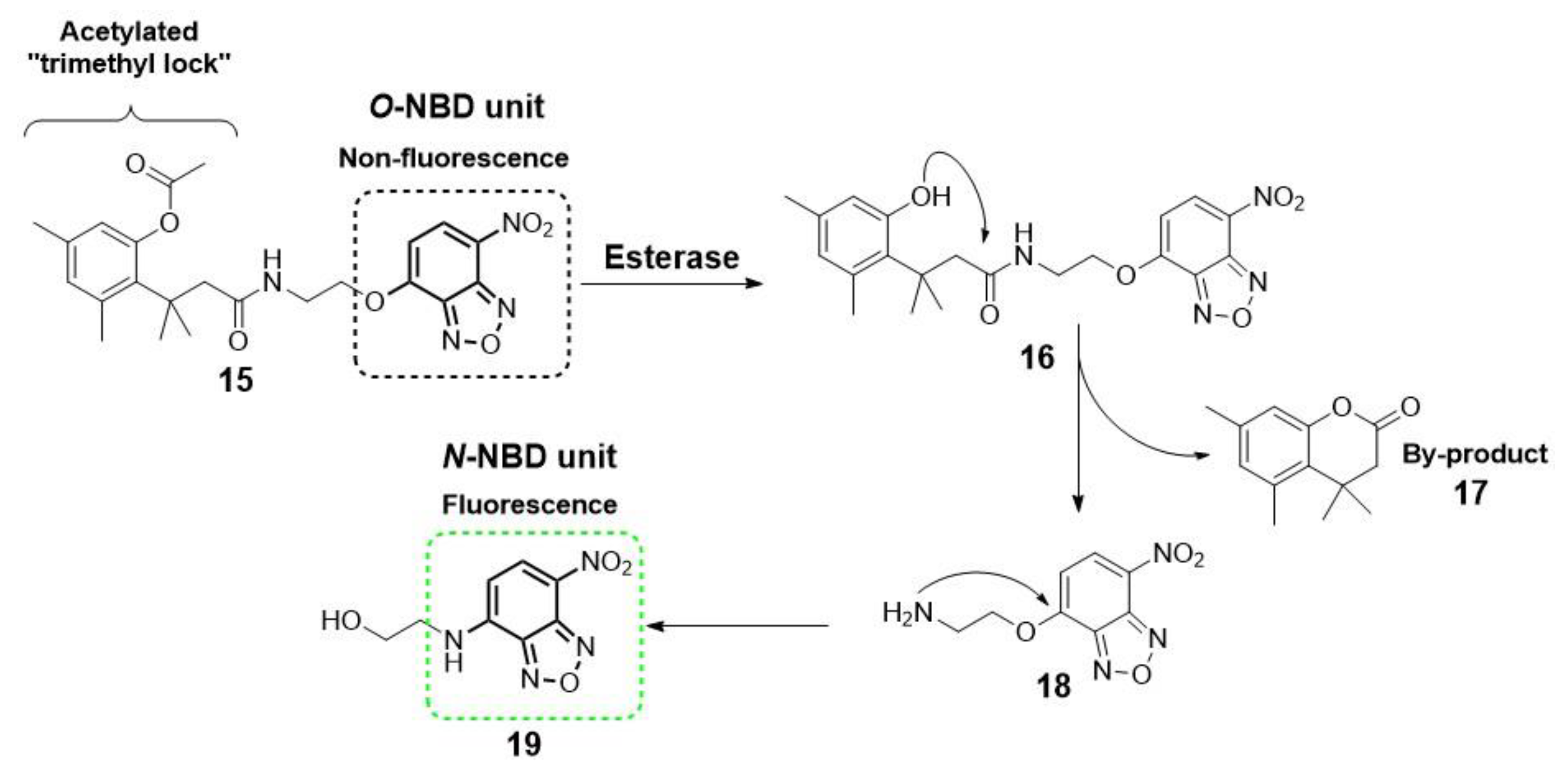 Molecules 28 06265 sch002