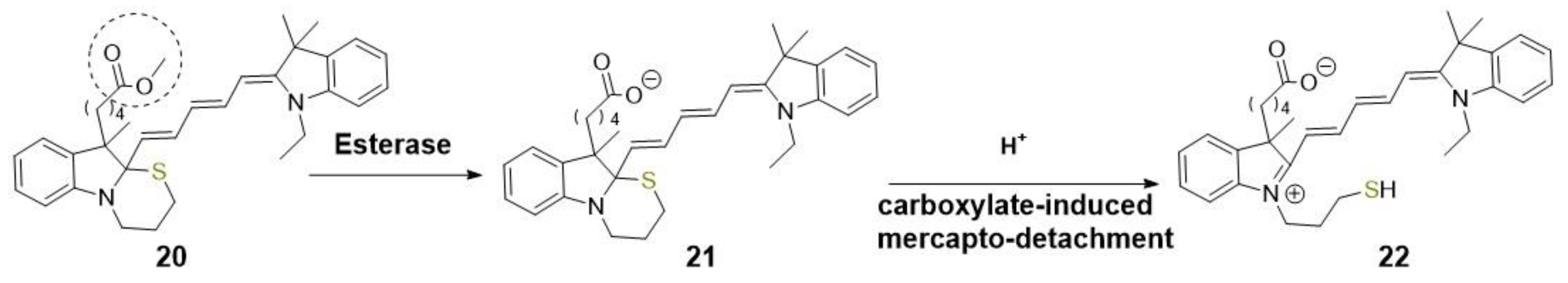 Molecules 28 06265 sch003