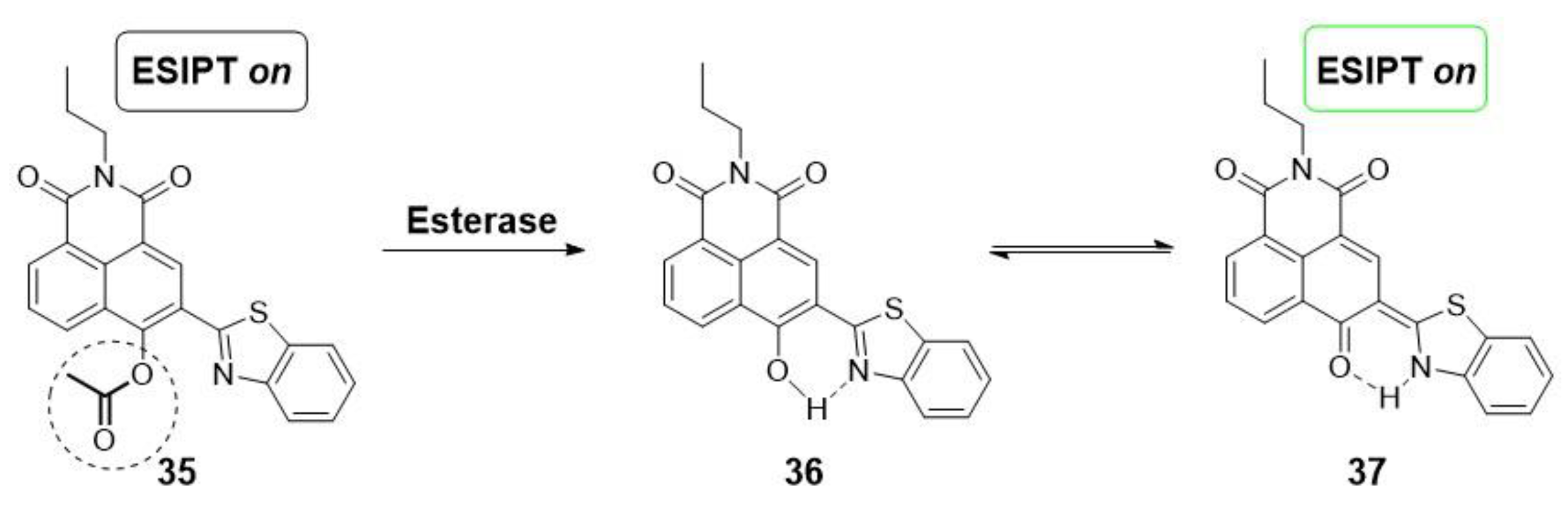 Molecules 28 06265 sch007