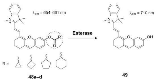 New Advances in the Exploration of Esterases with PET and