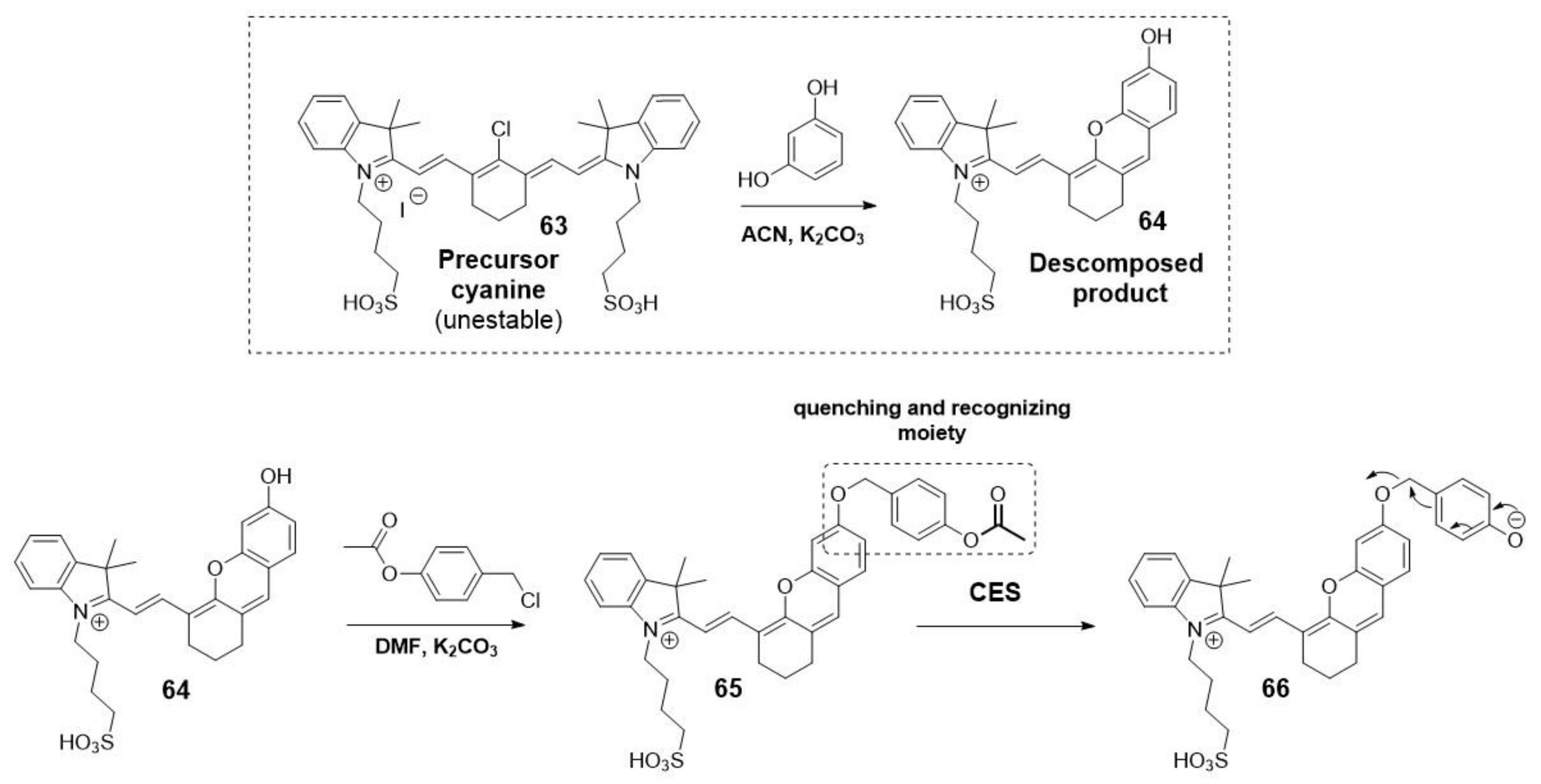 Molecules 28 06265 sch016