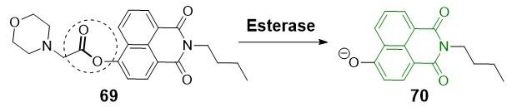 Molecules 28 06265 sch018