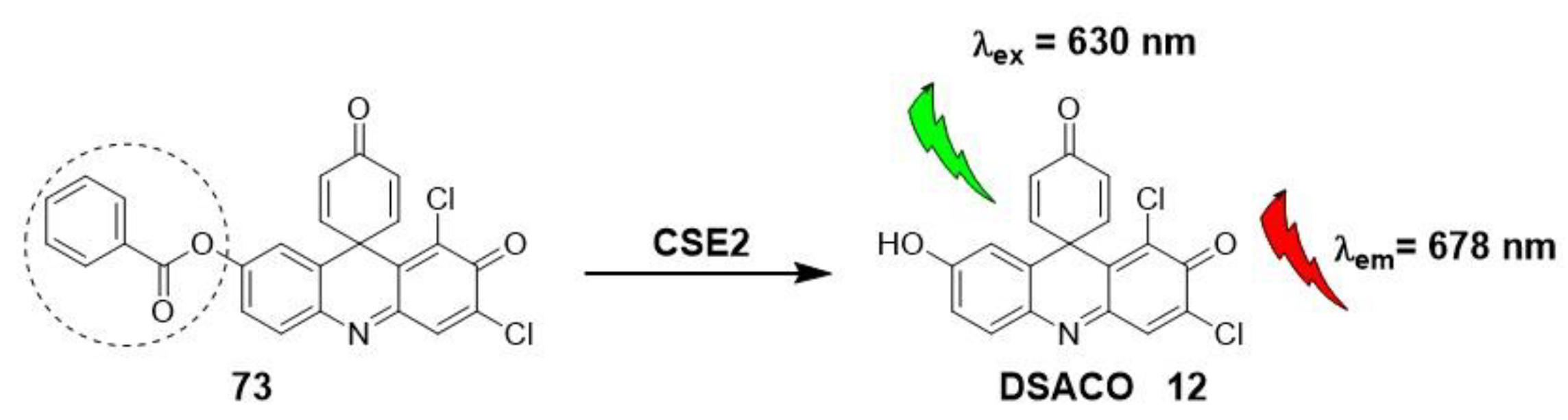 Molecules 28 06265 sch020