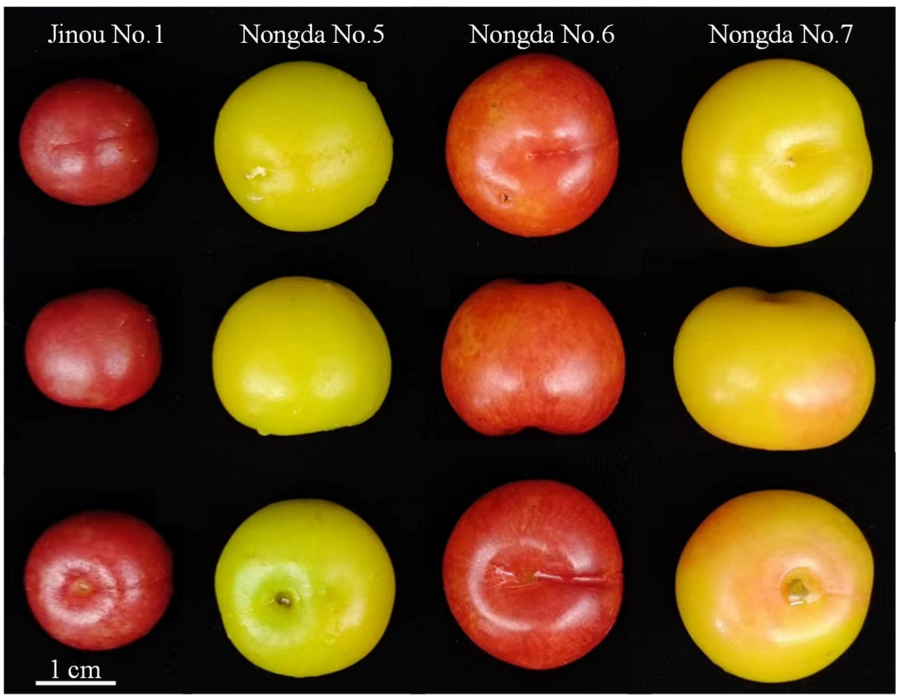 Molecules 28 06272 g001