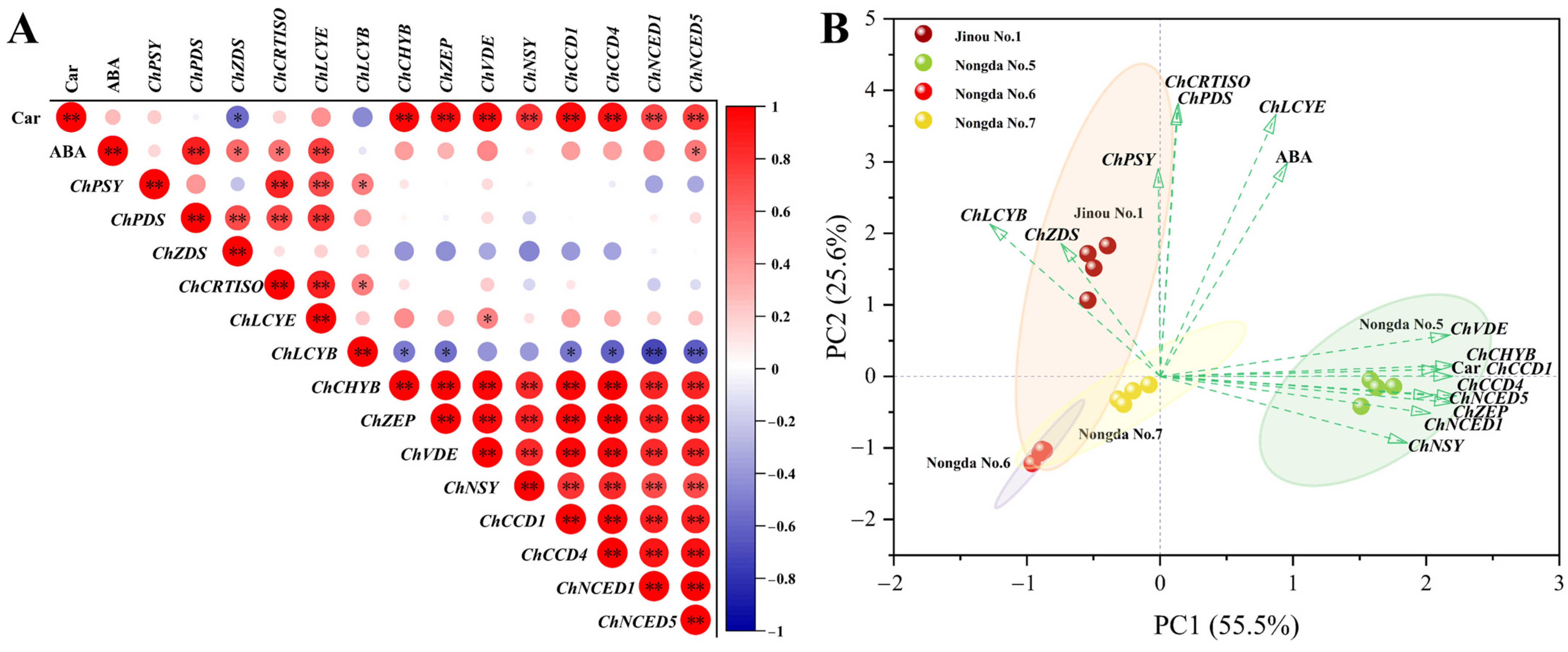 Molecules 28 06272 g004