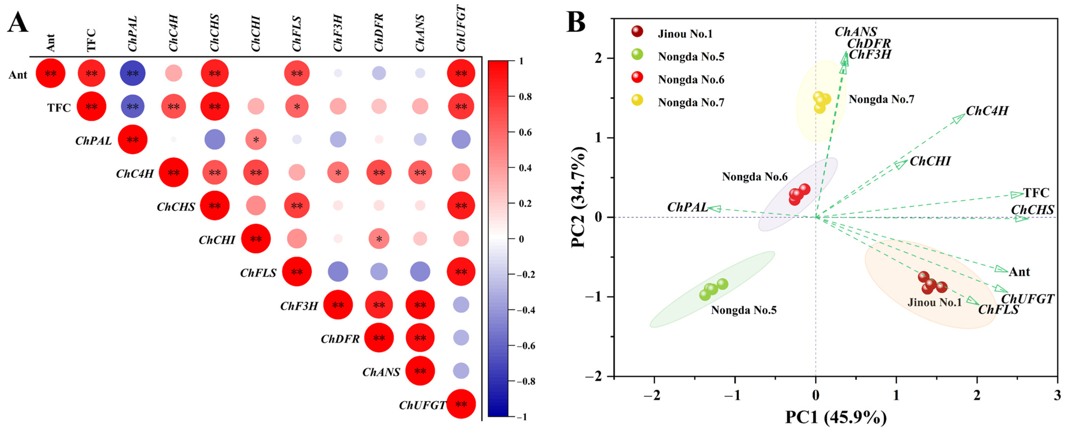 Molecules 28 06272 g006