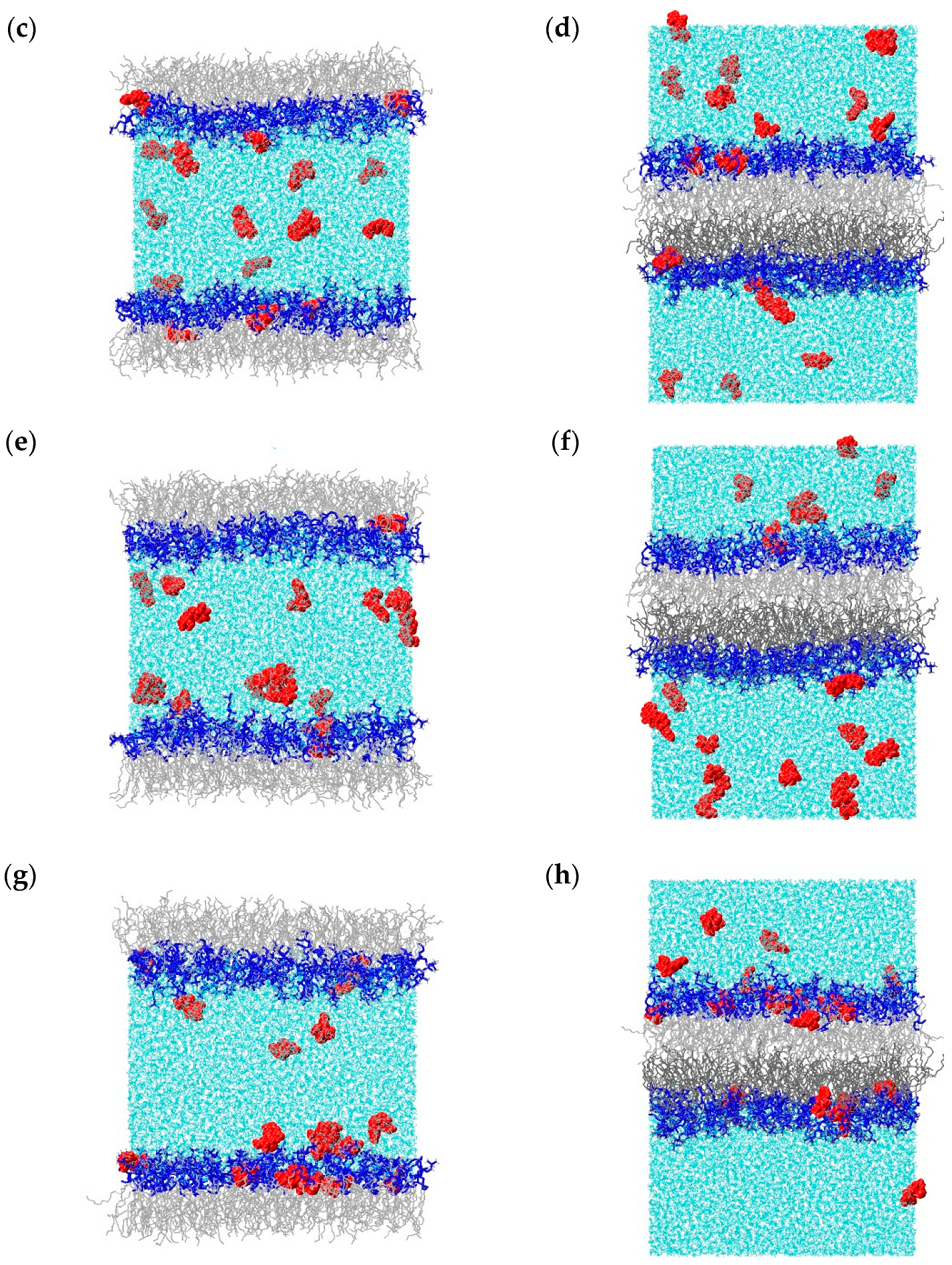 Molecules 28 06273 g001b