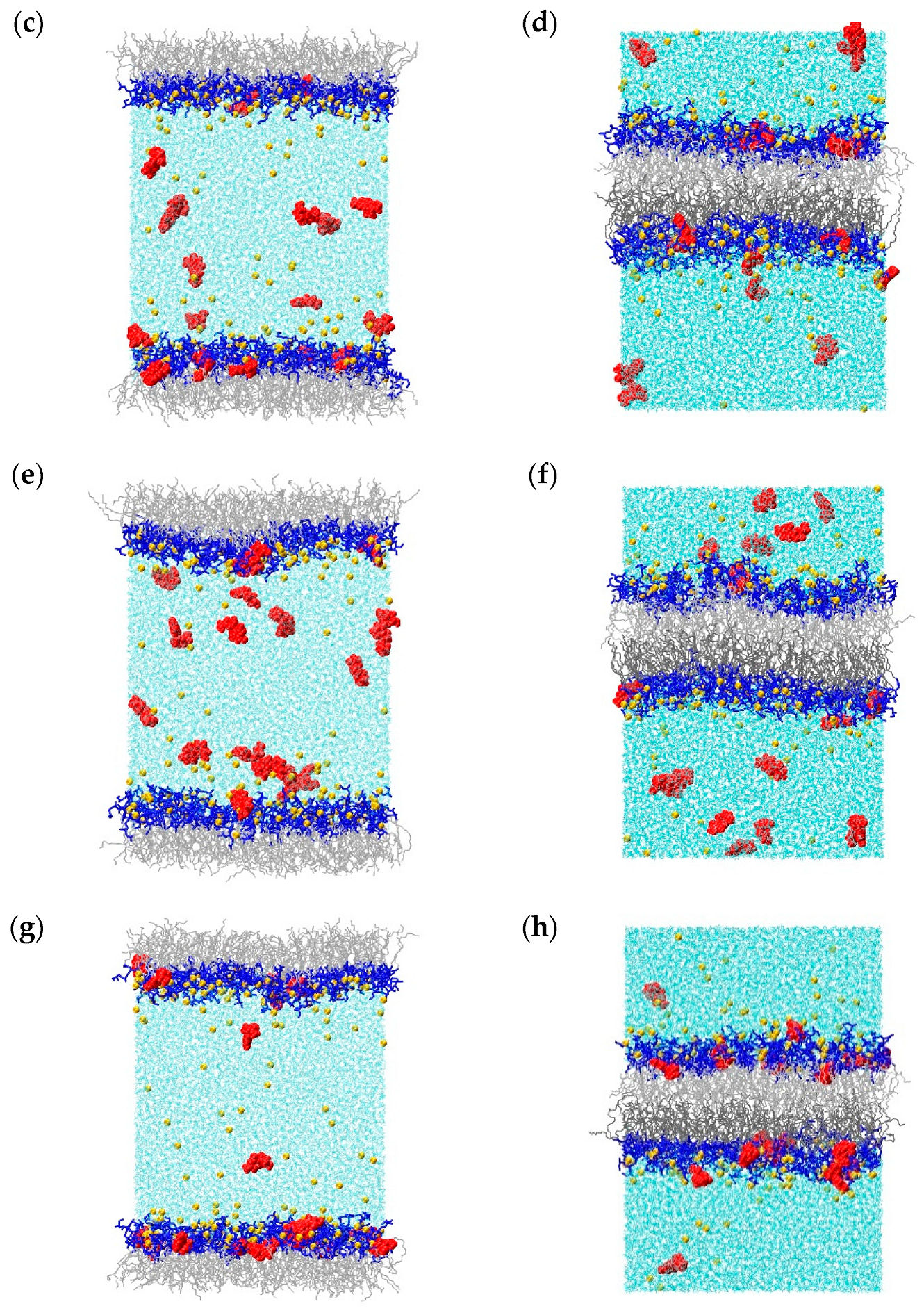 Molecules 28 06273 g002b