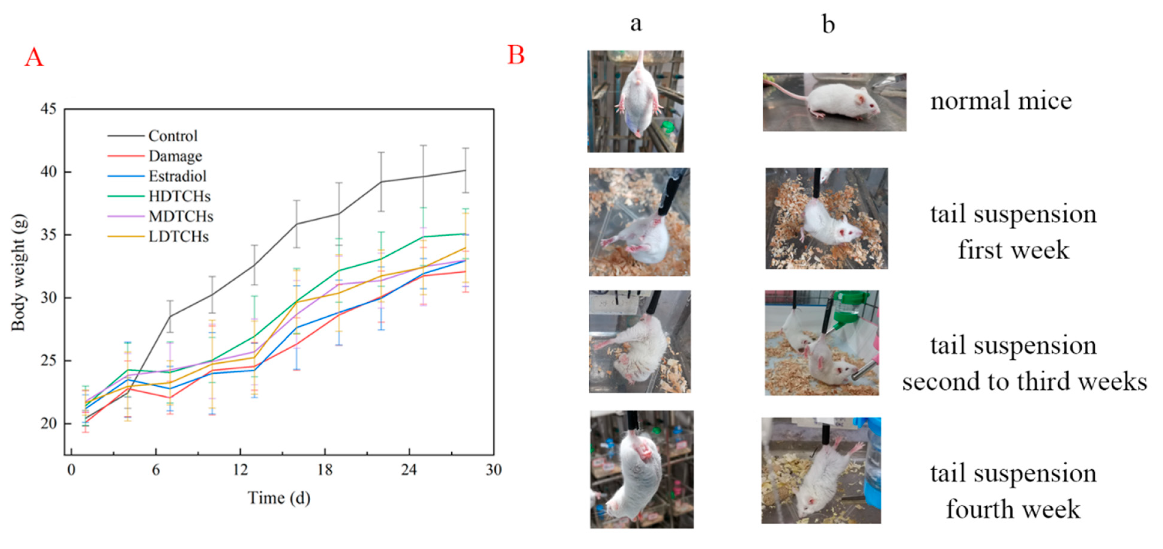 Molecules 28 06275 g004