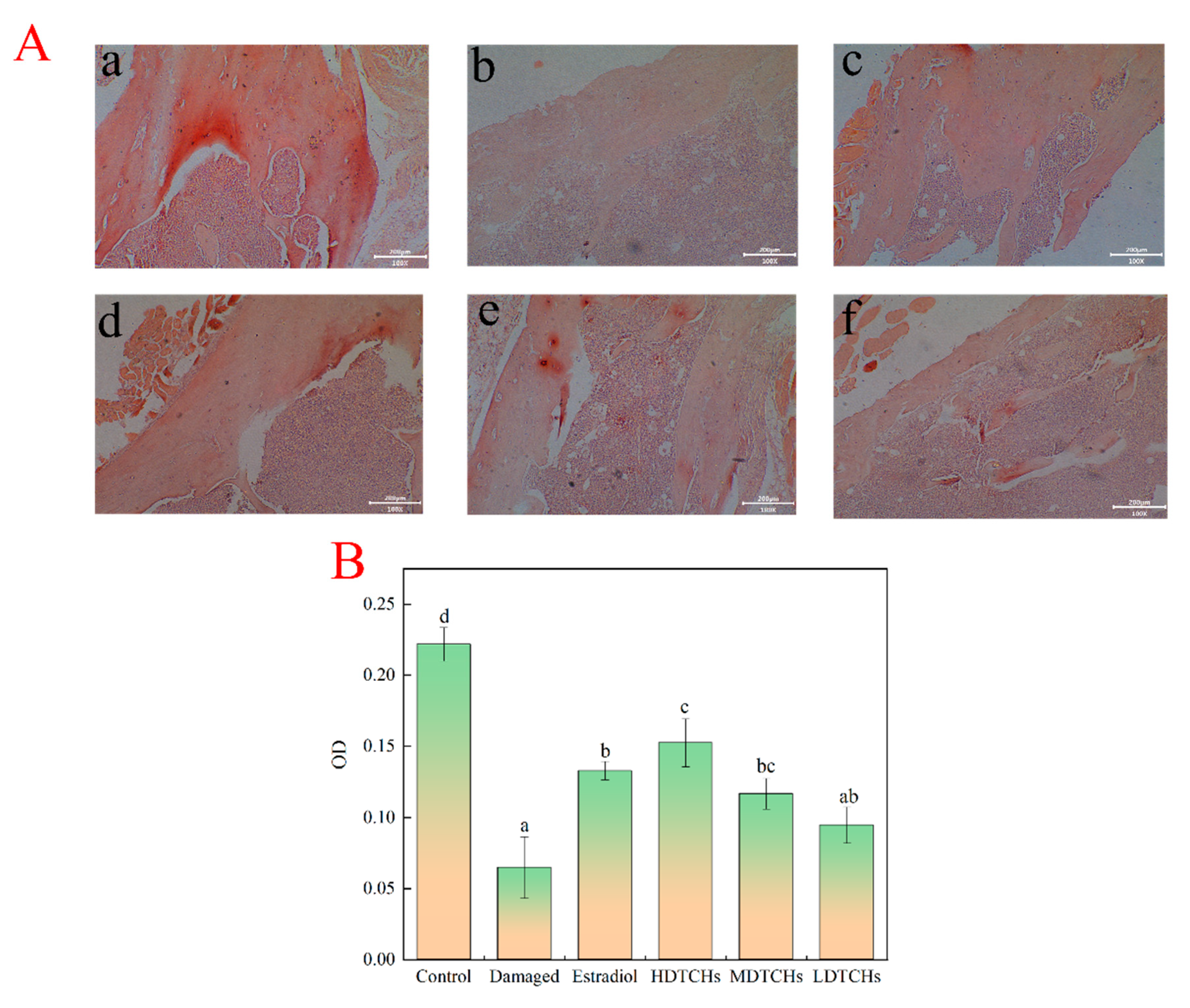 Molecules 28 06275 g007