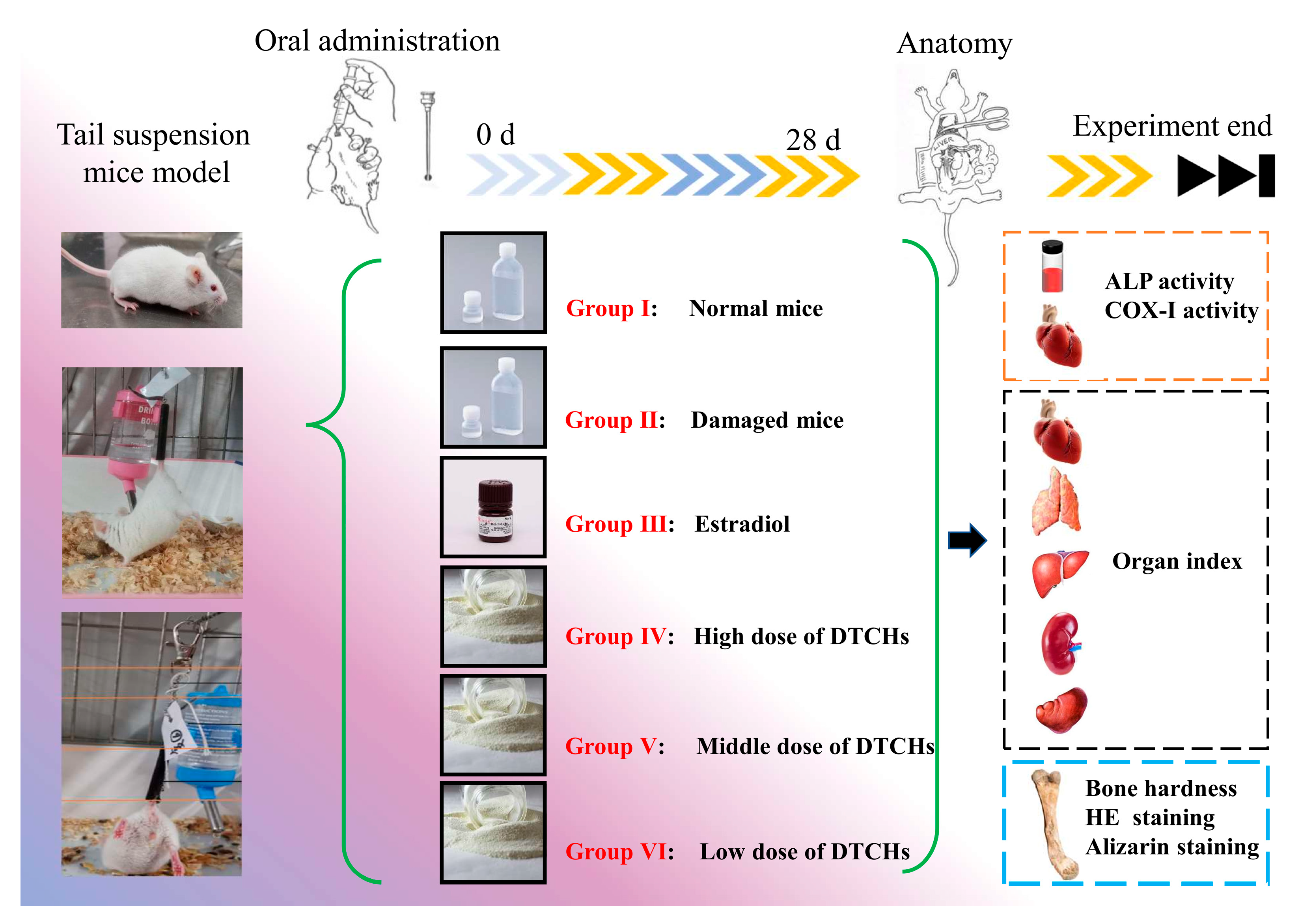 Molecules 28 06275 g008