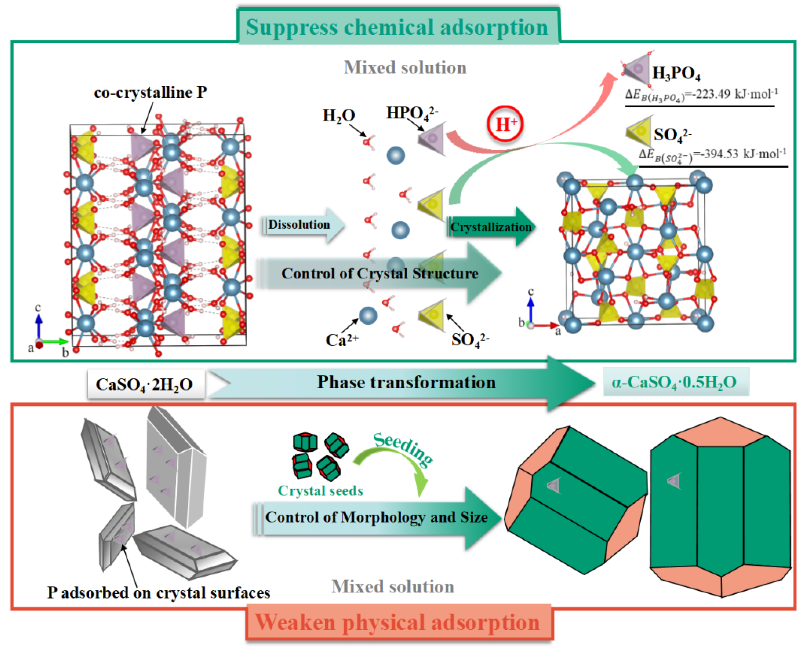 Molecules 28 06284 g011