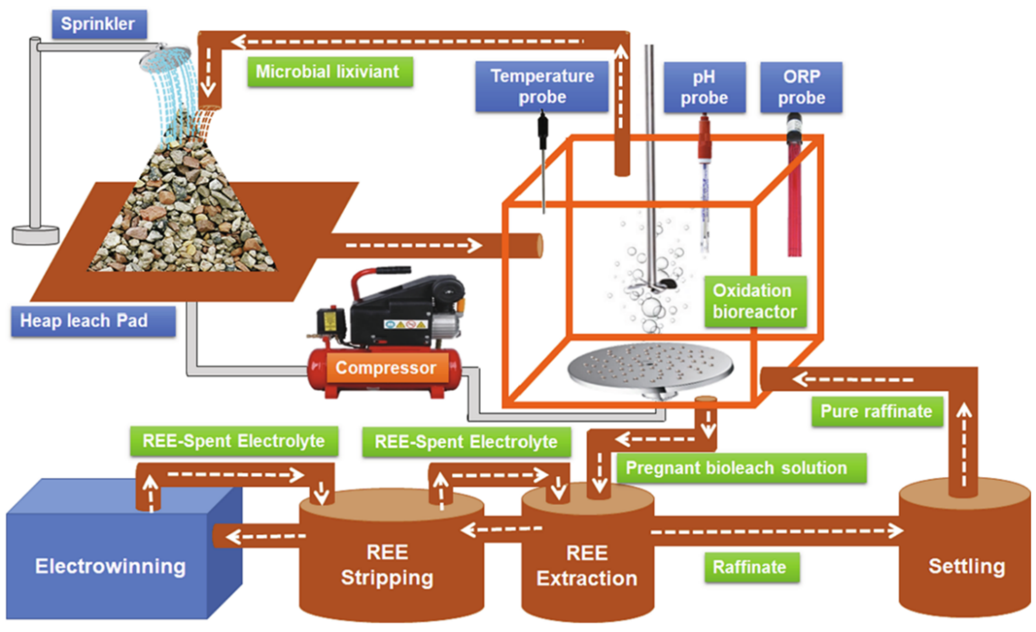 Molecules 28 06284 g012