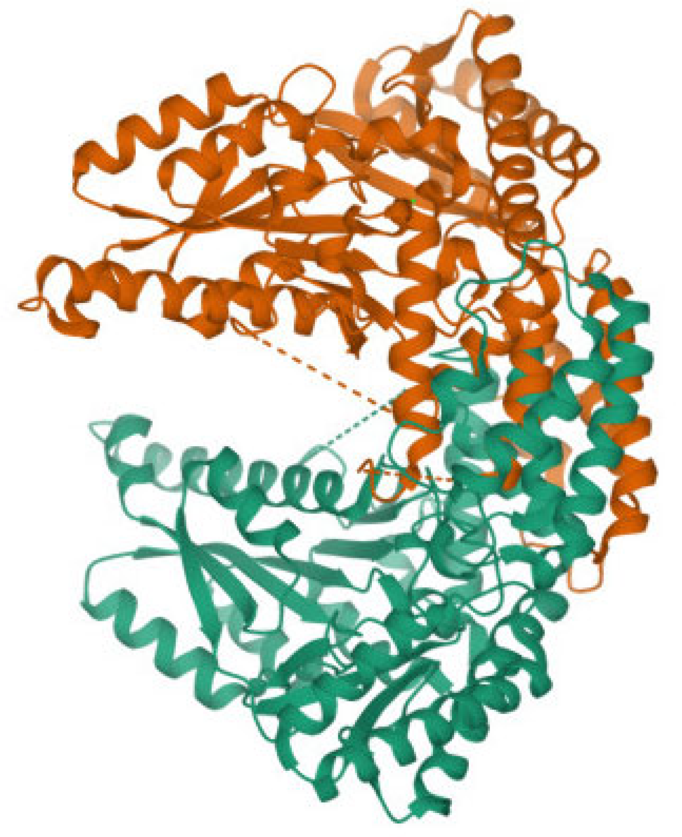Molecules 28 06286 g004
