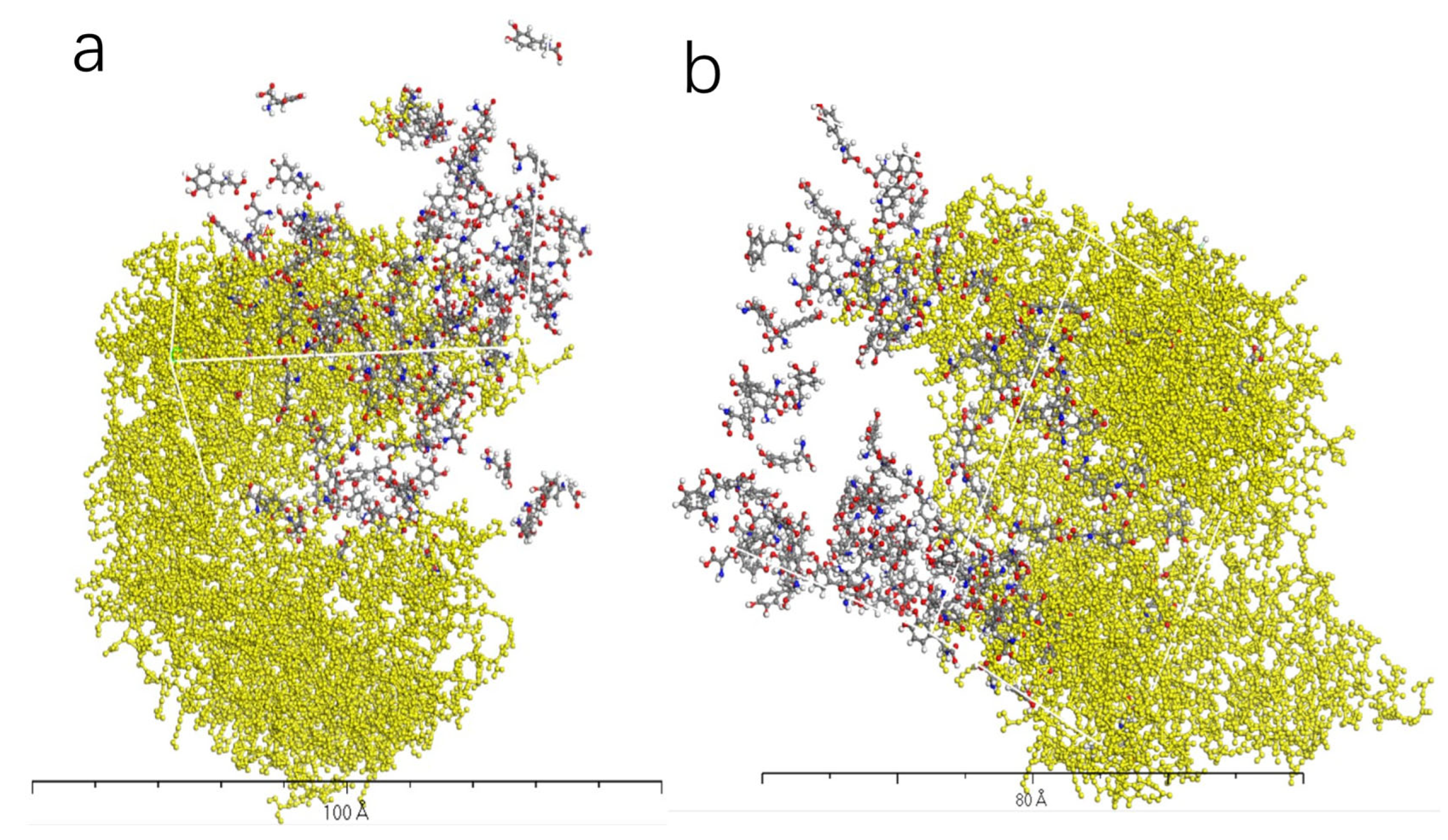 Molecules 28 06286 g010